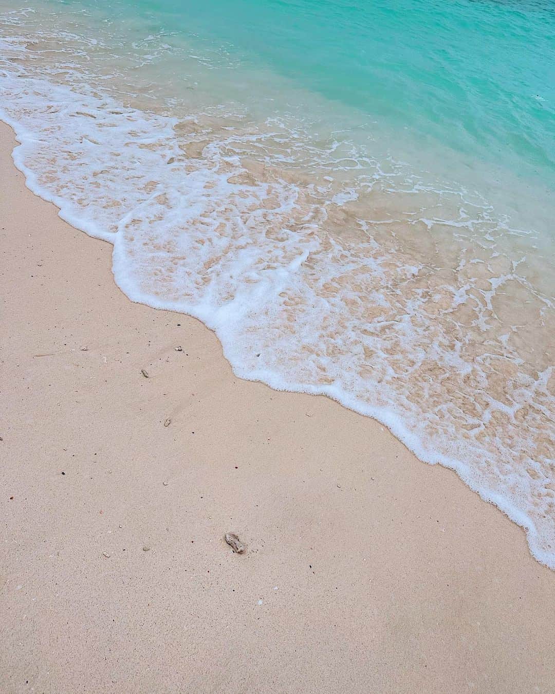 SHOUTAのインスタグラム：「🌊」