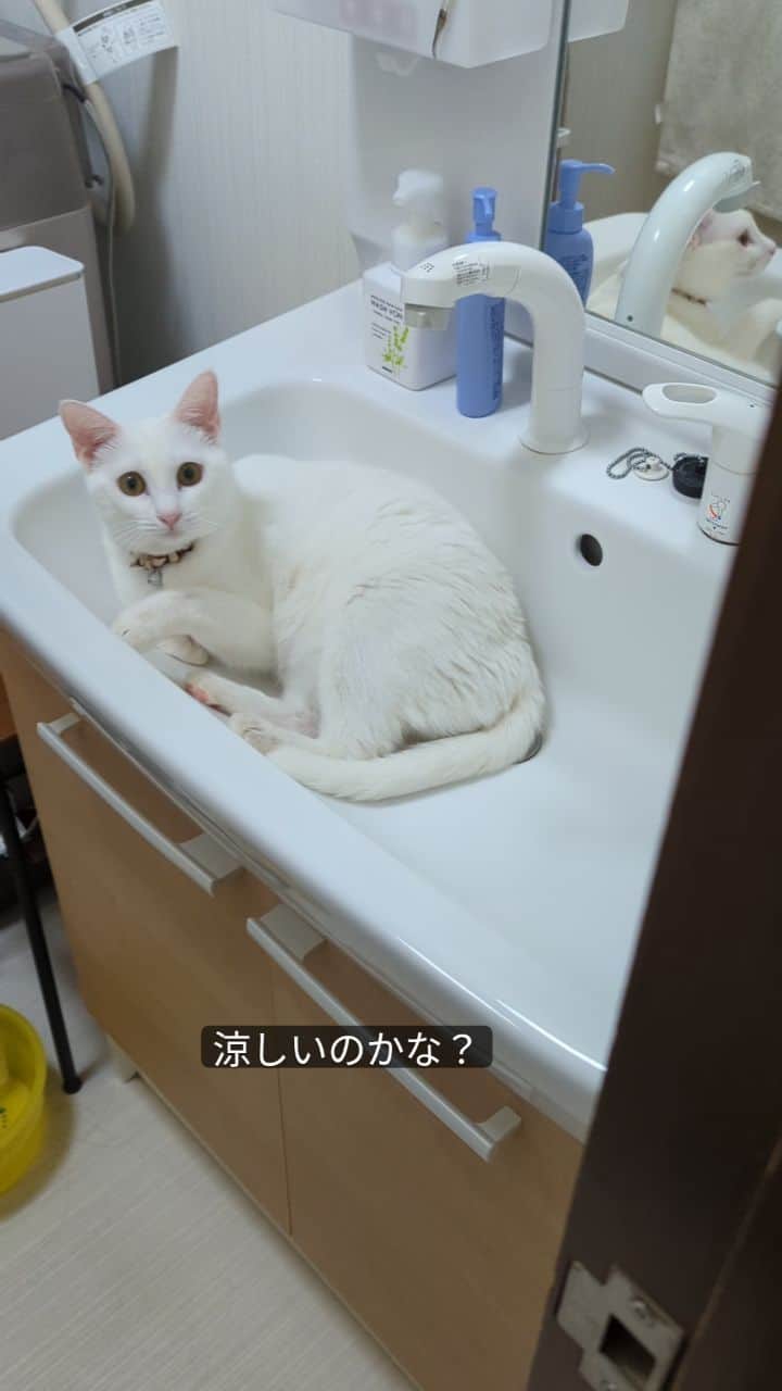 岡田屋鉄蔵のインスタグラム