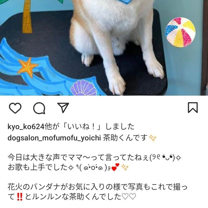 柴犬⭐️サスケさんのインスタグラム写真 - (柴犬⭐️サスケInstagram)「おやすみ੯ꔷ̀͡ᓑﾜﾝ🐾⁡ ⁡#柴犬#赤柴#いぬら部 #イヌのいる暮らし #いぬのいる暮らし #わんだフォ #わんこのいる生活 #pecoいぬ部  #ママって誰のことだろ#さすけ#トリミング#シャンプー#🛁」7月29日 22時52分 - shiba20150405