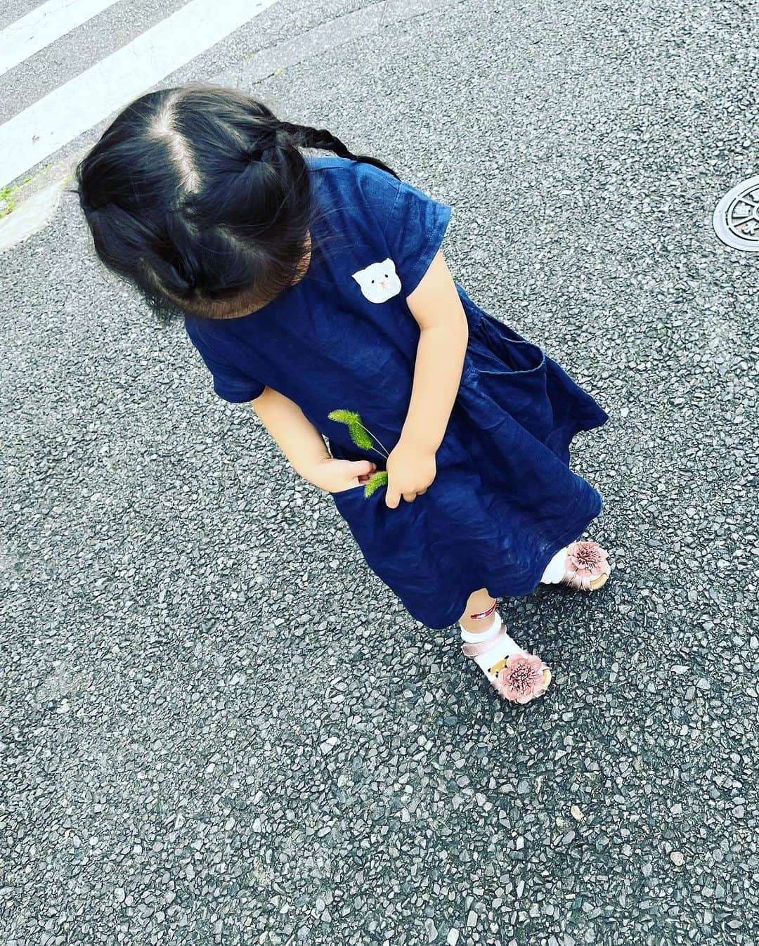 肘井美佳さんのインスタグラム写真 - (肘井美佳Instagram)「Now she really likes a dress with a mom-made embroidery cat.  ママ刺繍ネコワンピはオネーサンのお気に入り服の仲間入りを果たしました☆ めでたい！  前も後ろも横もネコネコさせたい気持ちがありますが、そうしているうちに夏が終わってしまいそうなので、ワンサイズ上のワンピースをネコネコさせて来年着てもらおうかな…と弱気なアクティブ思考を発生させてます！  #embroidery #cat #herfavorite  #刺繍 #樋口愉美子の動物刺繍  #猫じゃらし集め隊」7月29日 23時14分 - mikahijii