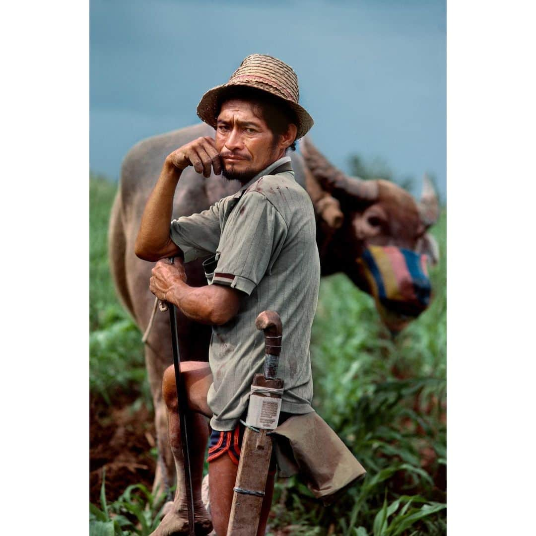 スティーブ・マカリーさんのインスタグラム写真 - (スティーブ・マカリーInstagram)「Farmers transplant seedlings on the rice terraces of Banaue, Philippines, which were designated as a World Heritage Site. 1985. 2nd image: A farmer tends his cornfield, Mindanao, 1985.」7月29日 23時17分 - stevemccurryofficial