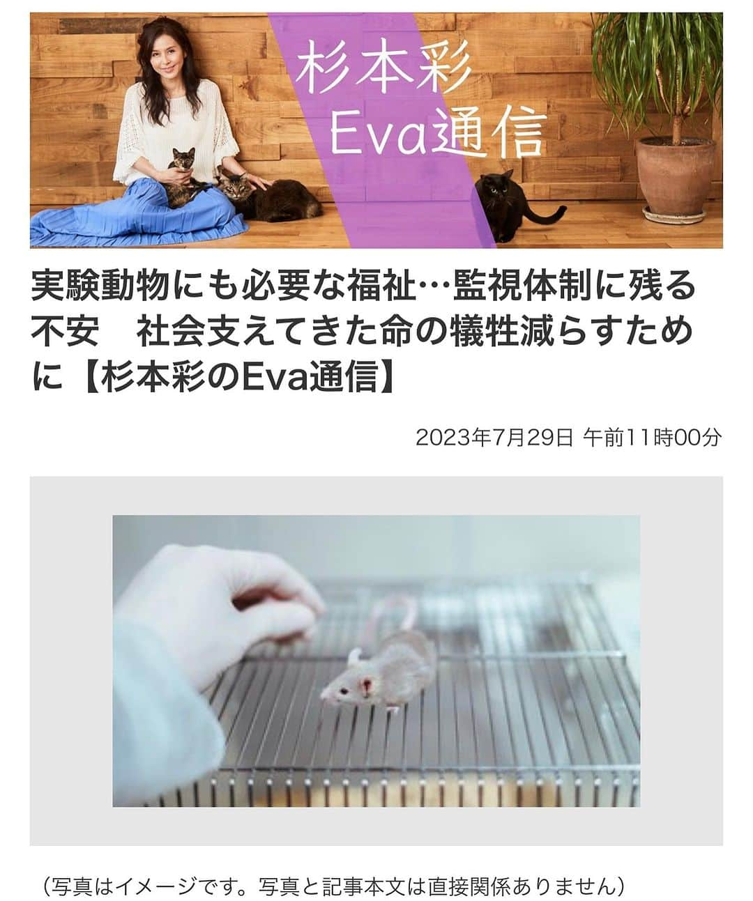 杉本彩さんのインスタグラム写真 - (杉本彩Instagram)「#Repost @evaanimal with @use.repost ・・・ 本日公開の最新コラム「杉本彩のEva通信」は、先日北海道札幌市の中学・高校の出張授業でお話しした動物実験をベースに、法律の問題や代替法についてコラムにまとめました。 ぜひご覧下さい。  https://www.fukuishimbun.co.jp/articles/-/1836406 ※ストーリーからリンクしています。 #動物実験 #実験動物 #3R #改正動物愛護法 #動物愛護法 #代替法 #杉本彩のeva通信 #杉本彩 #動物環境福祉協会eva」7月29日 23時25分 - sugimoto_aya0719