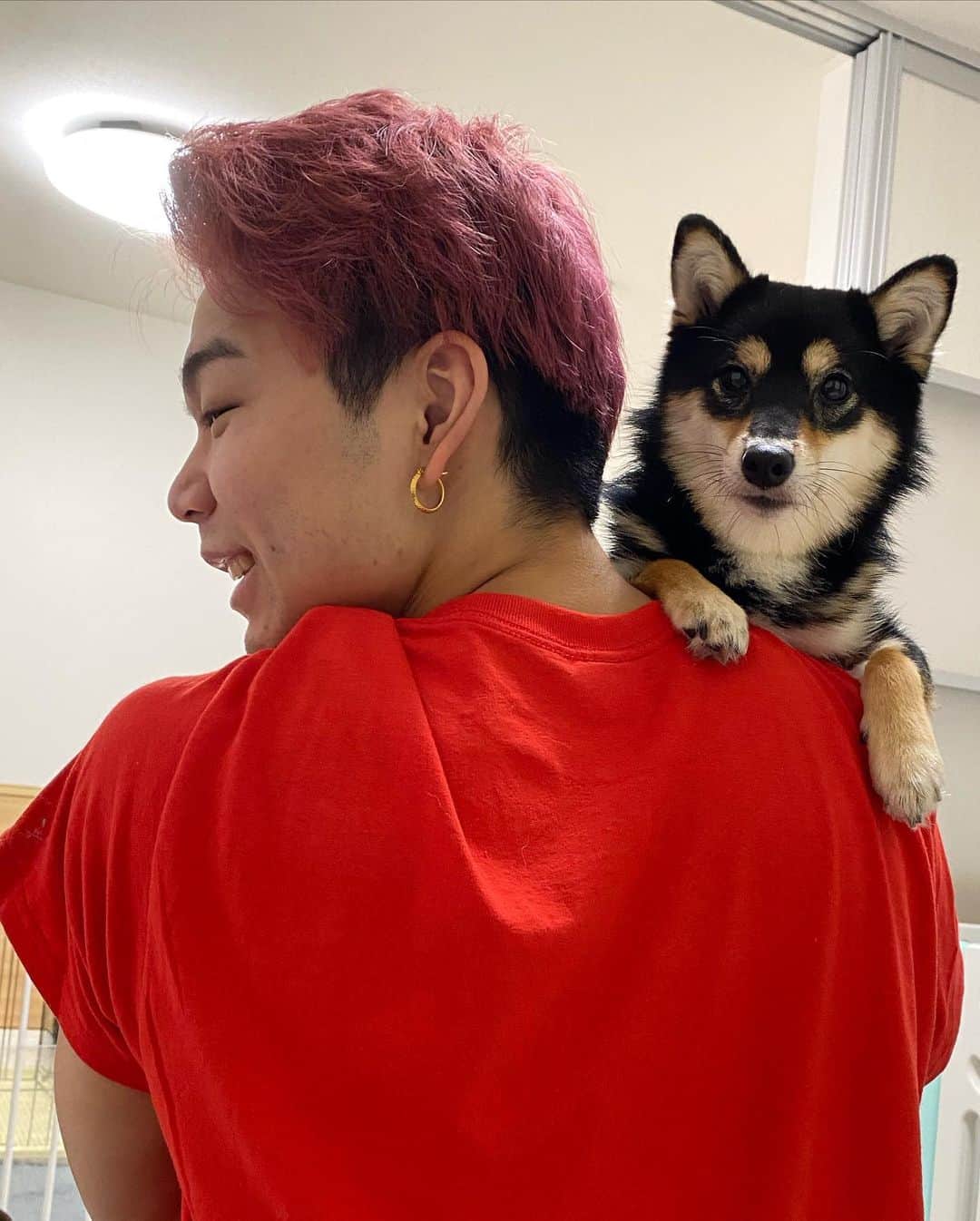 平岩優奈のインスタグラム：「ひょっこりぴの🐶」