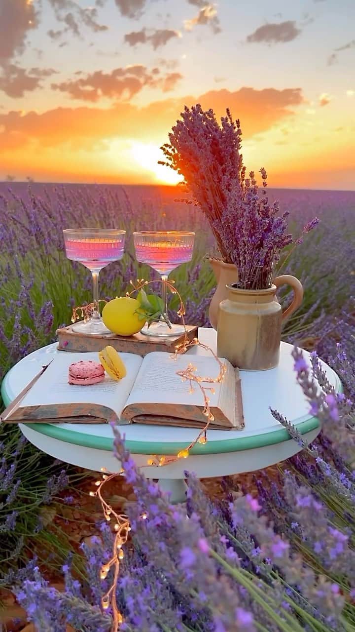 Wonderful Placesのインスタグラム：「Lavender dreams by @bakemetoparis 🥰💜 Stunning lavender field in France, best time to go in August. Tag you’d go with!!! . 📹 ✨@bakemetoparis✨ 📍 Provence - France 🇫🇷  #wonderful_places for a feature 💜」