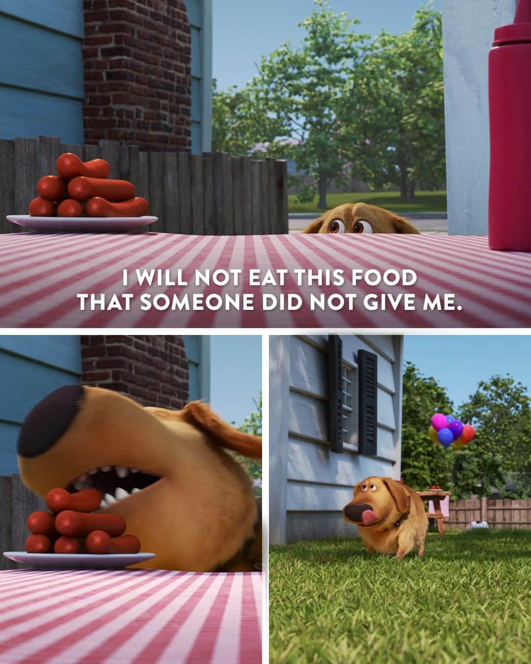 Disney Pixarさんのインスタグラム写真 - (Disney PixarInstagram)「To eat, or not to eat. That is Dug’s ques- 🐾」7月30日 1時30分 - pixar