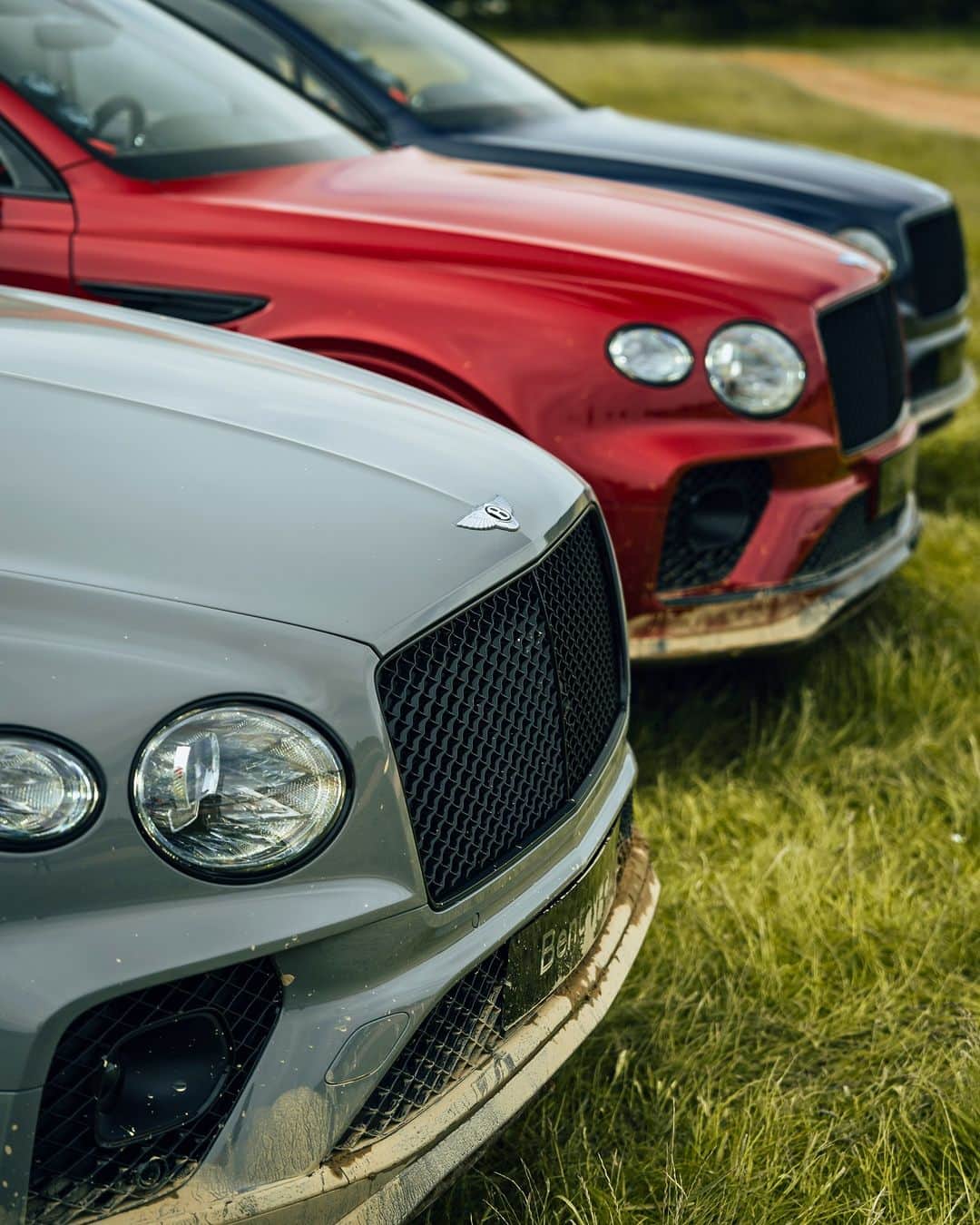 instagram-exhilaration-at-its-best-our