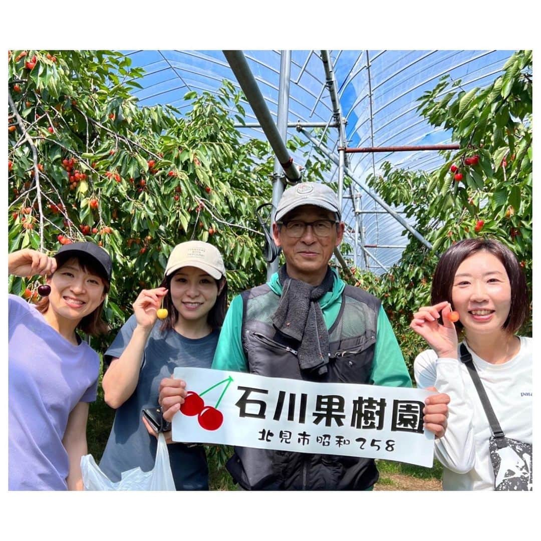 吉田夕梨花のインスタグラム：「. 石川果樹園さんへさくらんぼ狩りに🍒🍒🍒 . . . 先生(石川社長)がずっと美味しいさくらんぼを取っては手のひらにのせてくれてお腹いっぱいにさくらんぼを堪能しました😋 . . 色んな種類があって、全部違って全部美味しい🍒 . . . #石川果樹園 #さくらんぼ狩り #ちび部の夏休み #保護者琴美ちゃん #北見市」