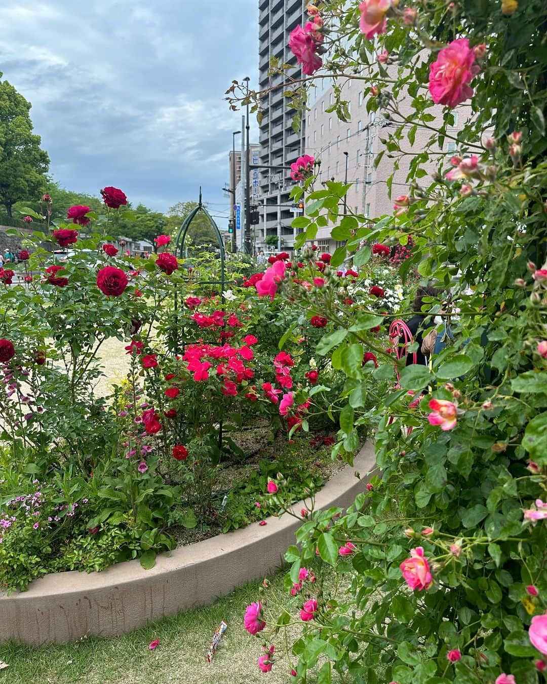 諸星みゆさんのインスタグラム写真 - (諸星みゆInstagram)「🌹 ⁡ 福山駅前たくさん薔薇とお花が咲いてた🥀⋆* ⁡ 駅前がお花で溢れてると 最寄り駅のひと、毎日行き帰り Happyそうだな〜とか思ってました🌸笑  ネックレスあらぬ方向にいってて おもろい🤣笑 ⁡ ┈┈┈┈┈┈┈┈┈┈┈┈┈┈┈┈┈┈┈┈    #福山  #福山市  #福山駅  #福山駅前  #福山駅周辺  #薔薇  #花  #花のある暮らし  #薔薇園  #薔薇のある暮らし  #花のある生活 #flower  #rose」7月30日 15時11分 - miyucheese.ig