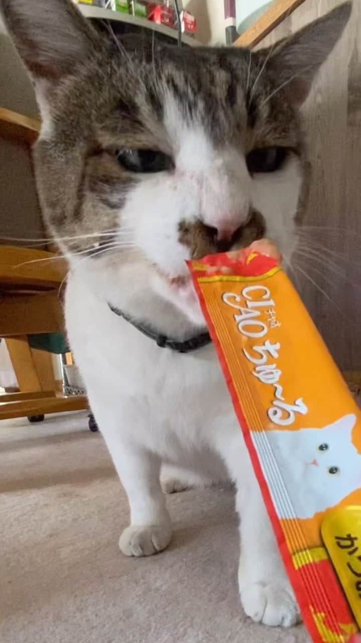 土肥美帆のインスタグラム