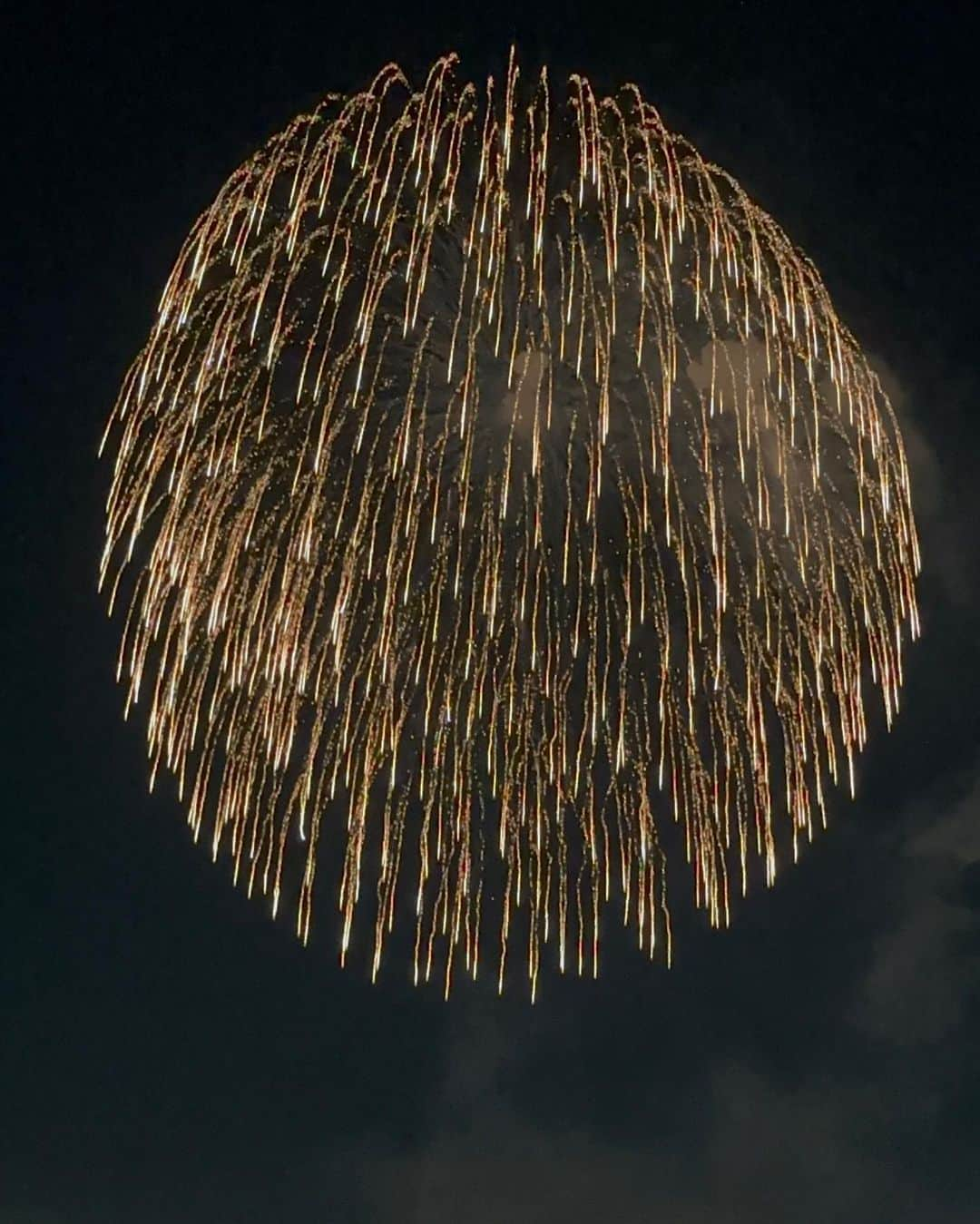 杉山愛さんのインスタグラム写真 - (杉山愛Instagram)「夏と言えば花火🎆  今年はお部屋から花火を見るという何とも贅沢な時間を過ごすことができました✨ 見終わった時に湧き上がった歓声と拍手 本当にありがたい気持ちでいっぱいになりました🫶  #花火 #立川 @soranohotel」7月30日 6時58分 - aisugiyamaofficial