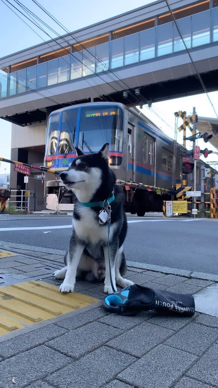 くろのインスタグラム