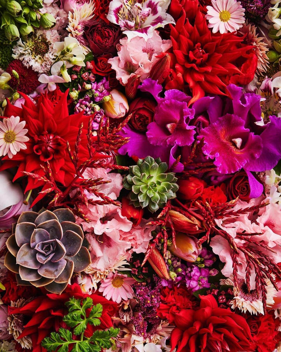 東信さんのインスタグラム写真 - (東信Instagram)「2023Flowers #amkk #amkkproject #makotoazuma #azumamakoto #東信花樹研究所 #東信 #jardinsdesfleurs #shiinokishunsuke #flowerart #flower #flowers #2023」7月30日 7時17分 - azumamakoto