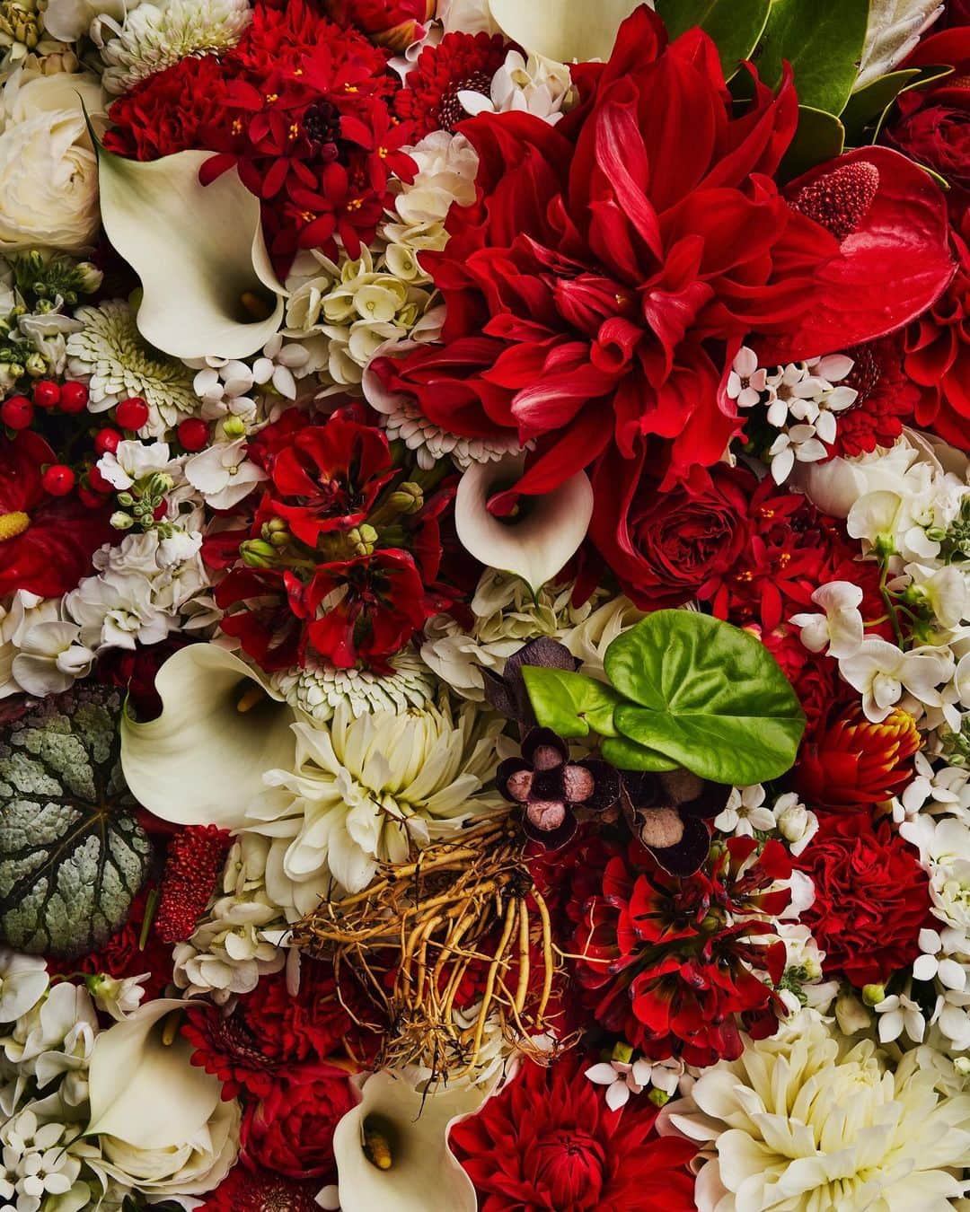 のインスタグラム：「2023Flowers #amkk #amkkproject #makotoazuma #azumamakoto #東信花樹研究所 #東信 #jardinsdesfleurs #shiinokishunsuke #flowerart #flower #flowers #2023」