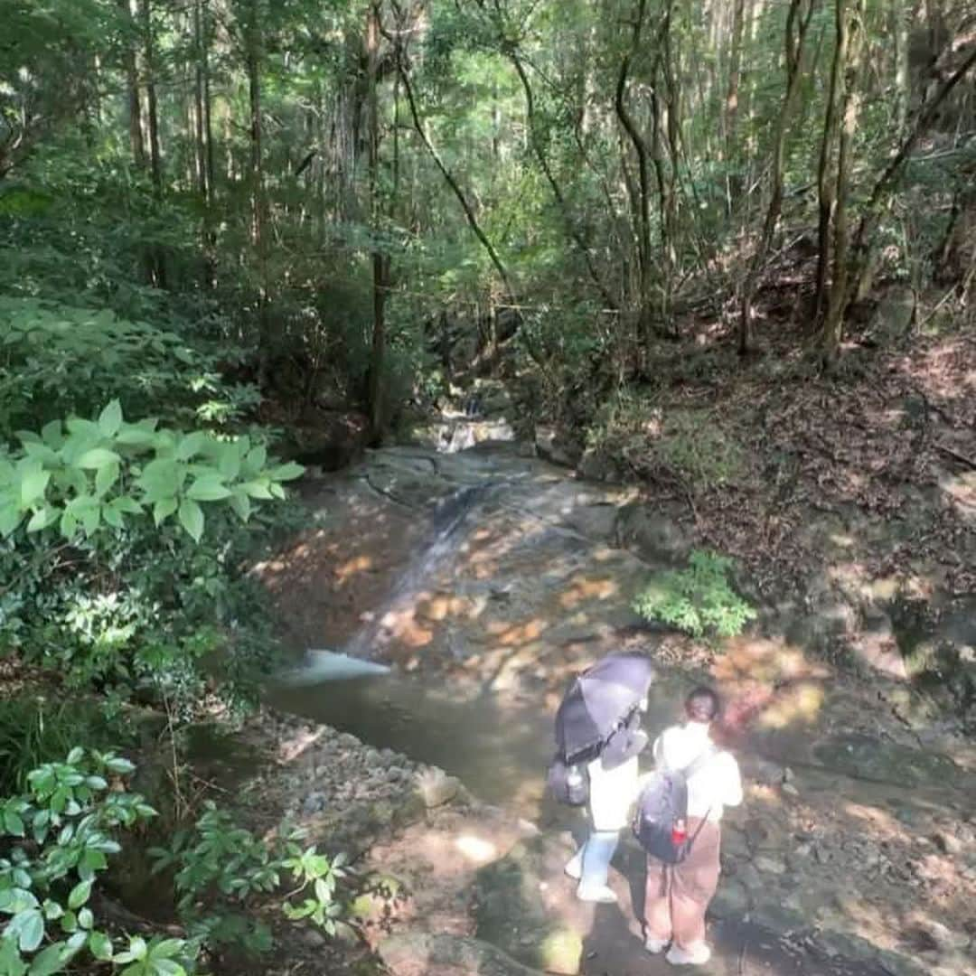 福岡女子短期大学さんのインスタグラム写真 - (福岡女子短期大学Instagram)「💠太宰府地域学 太宰府地域学のお写真を福女短生が撮ってくれました✨ありがとうございます💕  #福岡女子短期大学 #太宰府 #散策日和  #福女短　#短大生の日常」7月30日 8時17分 - fukuoka_wjc