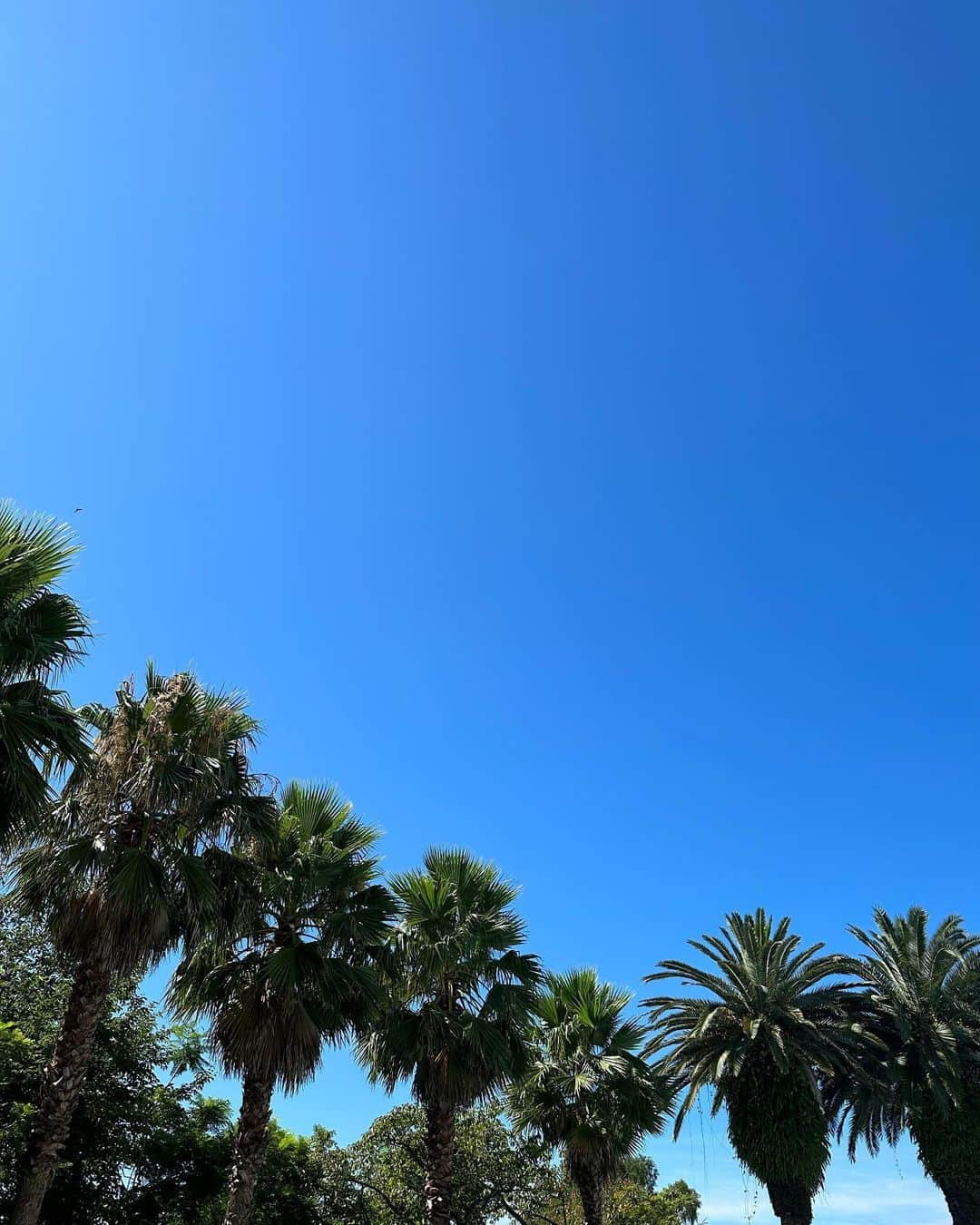 李ヒャンさんのインスタグラム写真 - (李ヒャンInstagram)「最高の夏が始まっている。 時間があればプール三昧。 4wayで楽しめる浮き輪をゲットしてプールが更に最高な時間になった。 日焼け止めが全く効かないくらい焦げ散らかしてるけどw 顔だけは守りながら夏を楽しむぞ👍 やっぱり夏が好きー♡ #summer #ilovesummer」7月30日 9時05分 - 73hyang