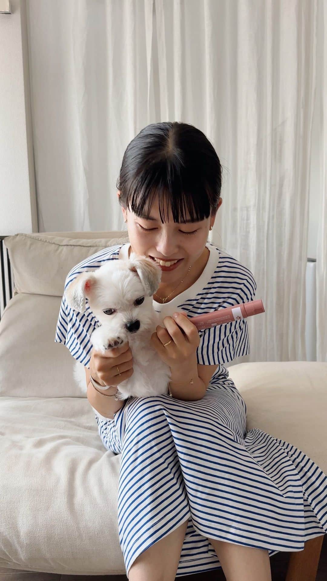 ちょびのインスタグラム