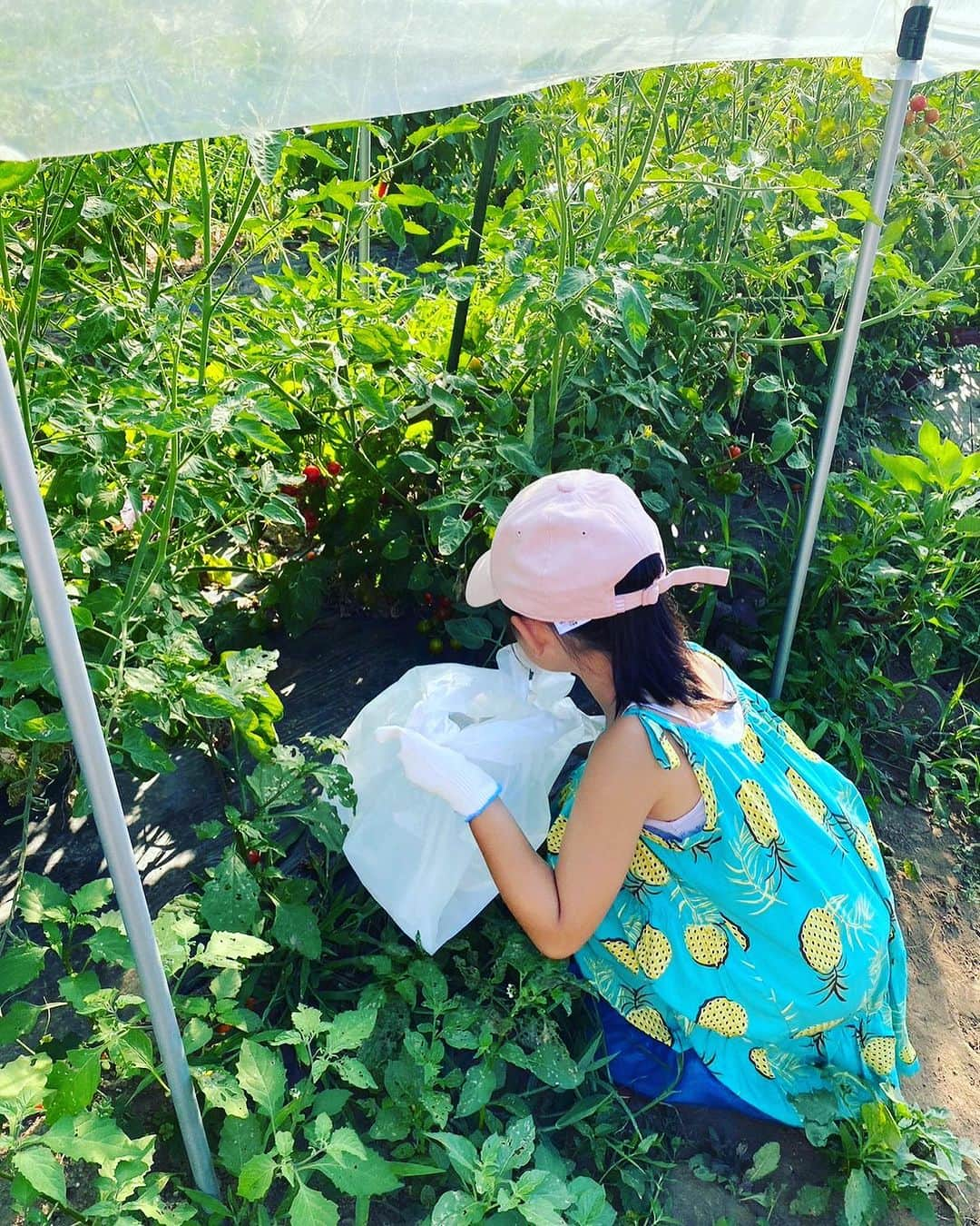 長澤奈央さんのインスタグラム写真 - (長澤奈央Instagram)「日帰りグランピング  #夏休みの過ごし方 #プール #ピザ作り体験 #野菜収穫体験」7月30日 11時00分 - nagasawana_official