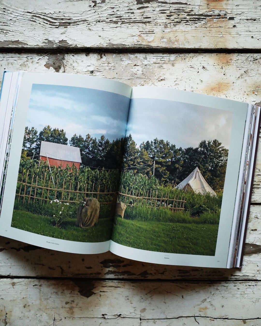 FOLKさんのインスタグラム写真 - (FOLKInstagram)「🍎ESCAPE TO THE COUNTRY — LIVING ON THE FARM  a hardcover coffee table book by folk | now available   It was a passion project that took a year longer than expected. A journey from living in The City to moving back to western Kentucky and into a 120 year old farmhouse that was built by my great great grandparents. It had been a dream since I was four to one day own this place and to live a quiet life in the country....a bucolic valley in the middle of nowhere that my family first settled in the 1780s. This book follows that journey, but in the process it took on a life of its own.   This coffee table book, a long and labored dream comes out in the US in August, but a few advanced copies are available now via the website. They're packaged and ready to ship, without delay. The 250 page book is a true beauty with the stories of 18 others from all across the country that have decided upon a rural life, a dozen recipes, and over 100 beautiful and timeless photos of rural life and rural homes at their best.   Welcome yourself into a world that feels cozy and warm, like a meal or a visit with a long loved neighbor. This book is a piece you will want to revisit over and over again, and for me it is truly a dream come true.   The book, its stories, its photos, and the energy that flows through it represents a shift here at FOLK. The online shop has closed, the final orders are in the process of going out, and a return to story telling has arrived. We ask to you order a copy of this book, because we know you will love it, and we already have it ready to send your way.」7月30日 11時05分 - folkmagazine
