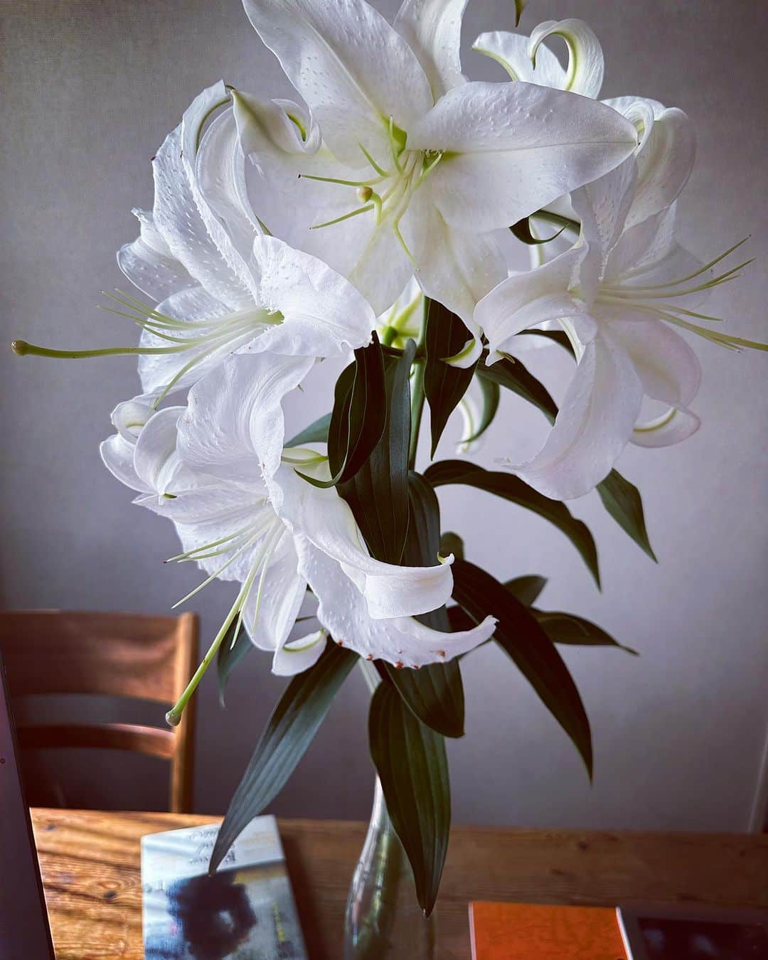 広崎うらんさんのインスタグラム写真 - (広崎うらんInstagram)「カサブランカ 香りとその美しい姿に癒される  ありがとう😚  #花 #flower #カサブランカ」7月30日 11時26分 - uranhirosaki