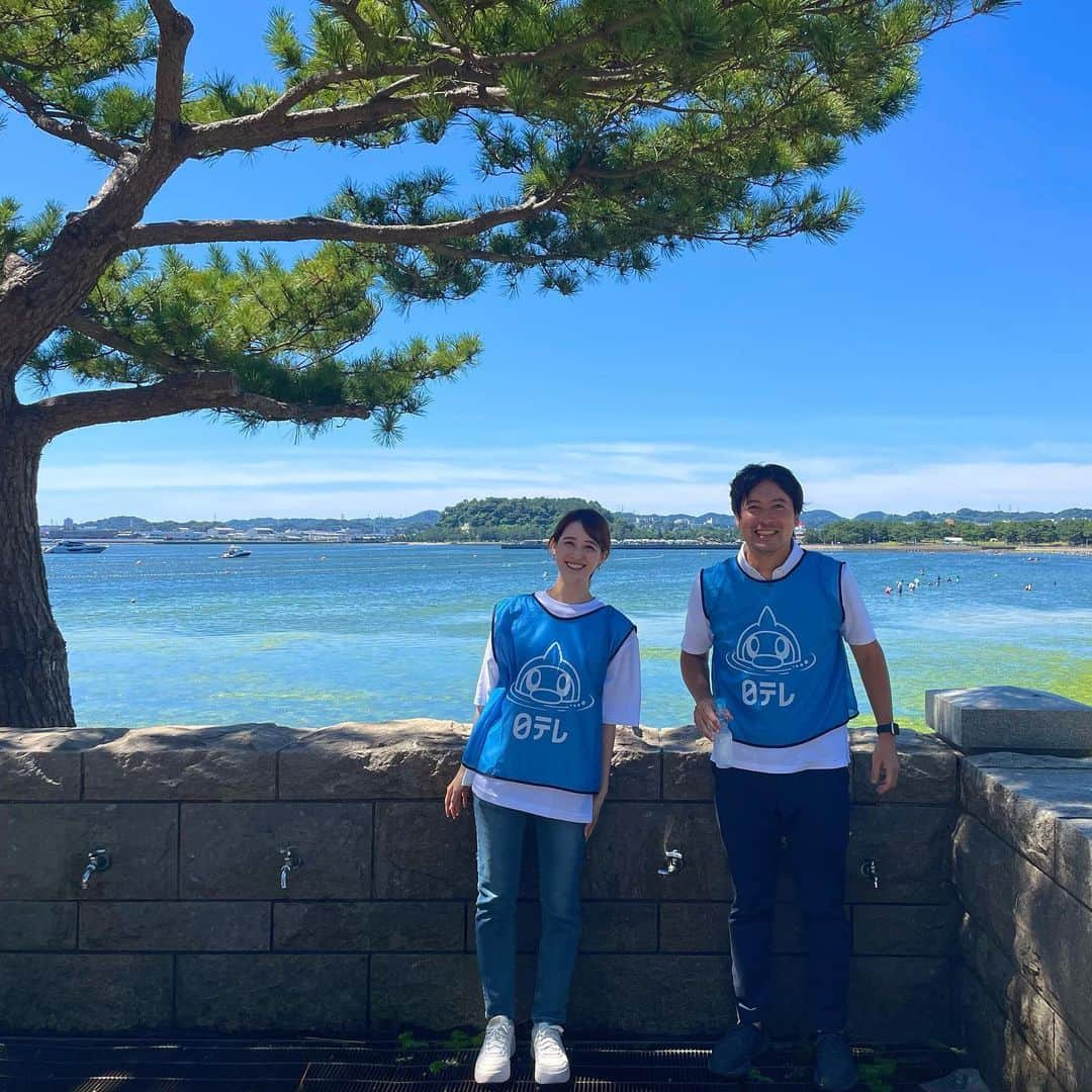 桝太一さんのインスタグラム写真 - (桝太一Instagram)「🌏 空と海と ラムネとアマモ。  #海の公園 #２枚目は選別中のアマモのタネ #３枚目は珍しく野外環境下にある後呂さん  #日本列島ブルーカーボンプロジェクト #ブルーカーボン  ※ちなみに背景の海に見えている緑はアオサ。 　増え過ぎても困っちゃう難しいやつです‥」7月30日 11時39分 - masu_asari