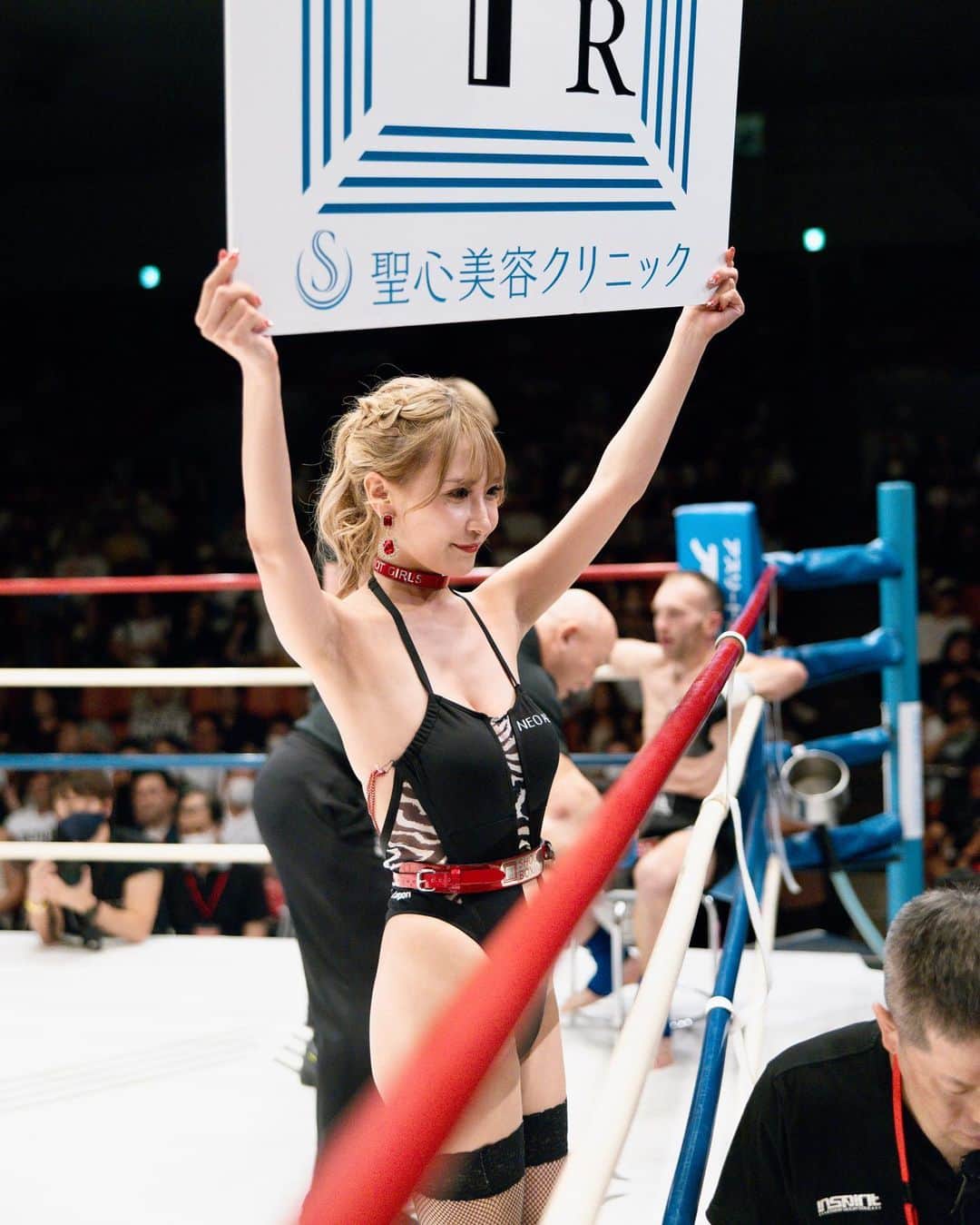 SHOOT GIRLSのインスタグラム：「🥊2023.06.25に行われたSHOOT BOXING 2023 act.3📸Pt.3🥊 . シュートガールズの当日のラウンドショット📸と本日はバックショットもお届け‼️ 写真のタグから推しガールを見つけて各ガールズのプロフィールをまでチェックしてください😚❣️ . #シュートボクシング #ラウンドガール ⁠#SHOOTBOXING #SHOOTGIRLS #ROUNDGIRL #japanesegirl #シュートボクシング #シュートガールズ #ラウンドガール #明璃奈 #央川かこ #門田花恋」