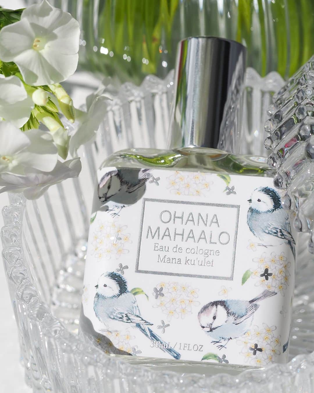 FRAGRANCYのインスタグラム