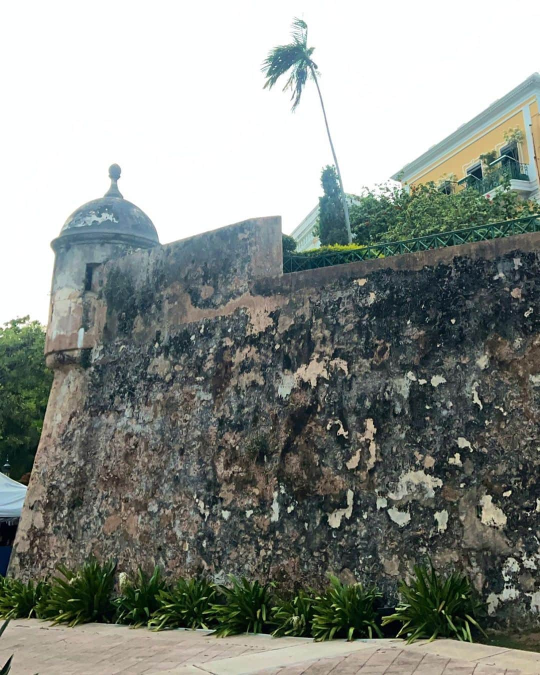 Eri Antonさんのインスタグラム写真 - (Eri AntonInstagram)「📍My second day in Puerto Rico 🇵🇷🌴 Back visiting the historic city el viejo San Juan   #puertorico」7月30日 13時10分 - erianton_