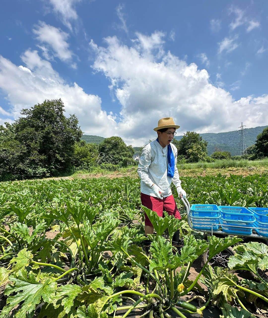 金子貴俊のインスタグラム：「長野県で野菜収穫！ 暑いけど気持ちいい✨ 信州最高だー！！」