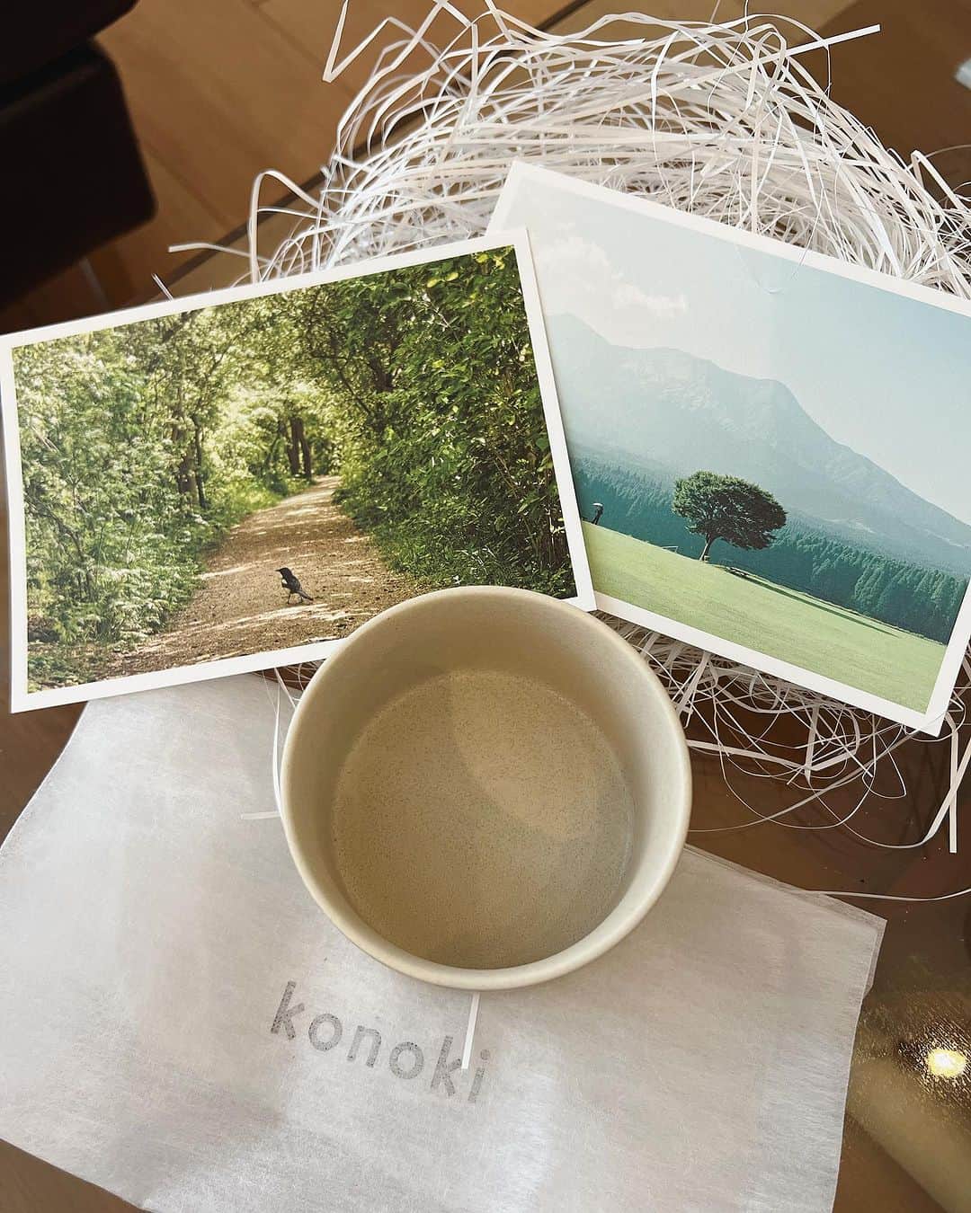 堀江聖夏のインスタグラム：「⌇‎人と自然が共生する社会へ🌱ꕀ  ⁡ ⁡ 自然や林業と関わる事業をされていて 自然を守る活動をされている konoki @konoki_official  ⁡ ⁡ お買い物をすることで 植林パートナーに植林費用として提供され、 500円で1本の植林が実施される 素敵な取り組みを行なっています。 ⁡ 私が頼んだものは どんな食卓にも寄り添える マルチユースなカップ🥛 ⁡ ぽろんっと優しい形をしています◌ ⁡ 一般的なうつわは、鉱山から採取した土を 使用して製作されているそうなのですが、 このカップは原料の一部に リサイクル土を利用されています🌍 ⁡ 私は、自然がとても好きなので こうして環境を大切にされている 活動をしているkonokiさんや 陣脇さんのステキな活動を応援していきたいなっ ⁡ ⁡ ________________________________ #konoki #森林 #自然 #環境 #サスティナブル #エシカル #地球環境」