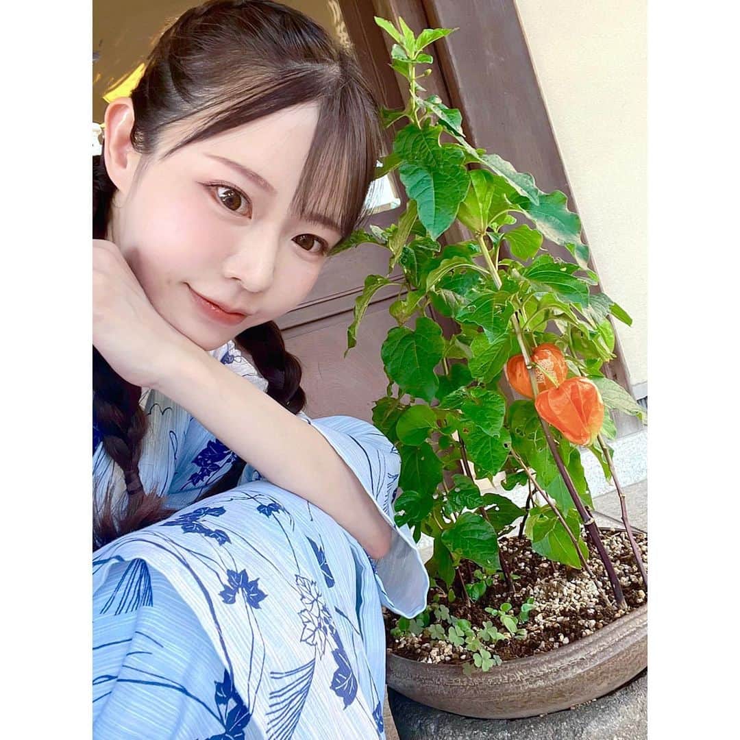小泉みゆきのインスタグラム：「ほおずきの灯る季節になりました。」
