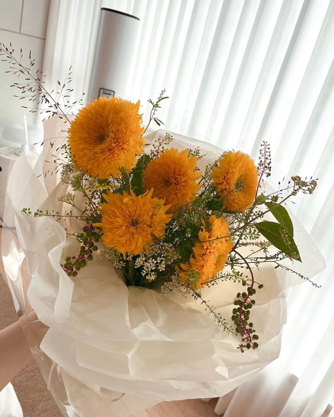 のインスタグラム：「。 어제 , 데뷔 14주년 날  조프라이즈의 테디베어 해바라기 🧸🌻 그리고 기념으로 지난 사진들 같이 보자고 피드요청 완료 🫶🏻」