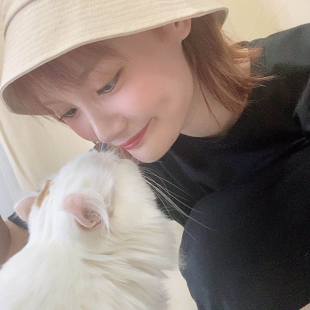 ひよりんごのインスタグラム：「お腹を痛めてない我が子🐈❤️笑 だいすきっ #猫のいる暮らし #アメリカンカール」