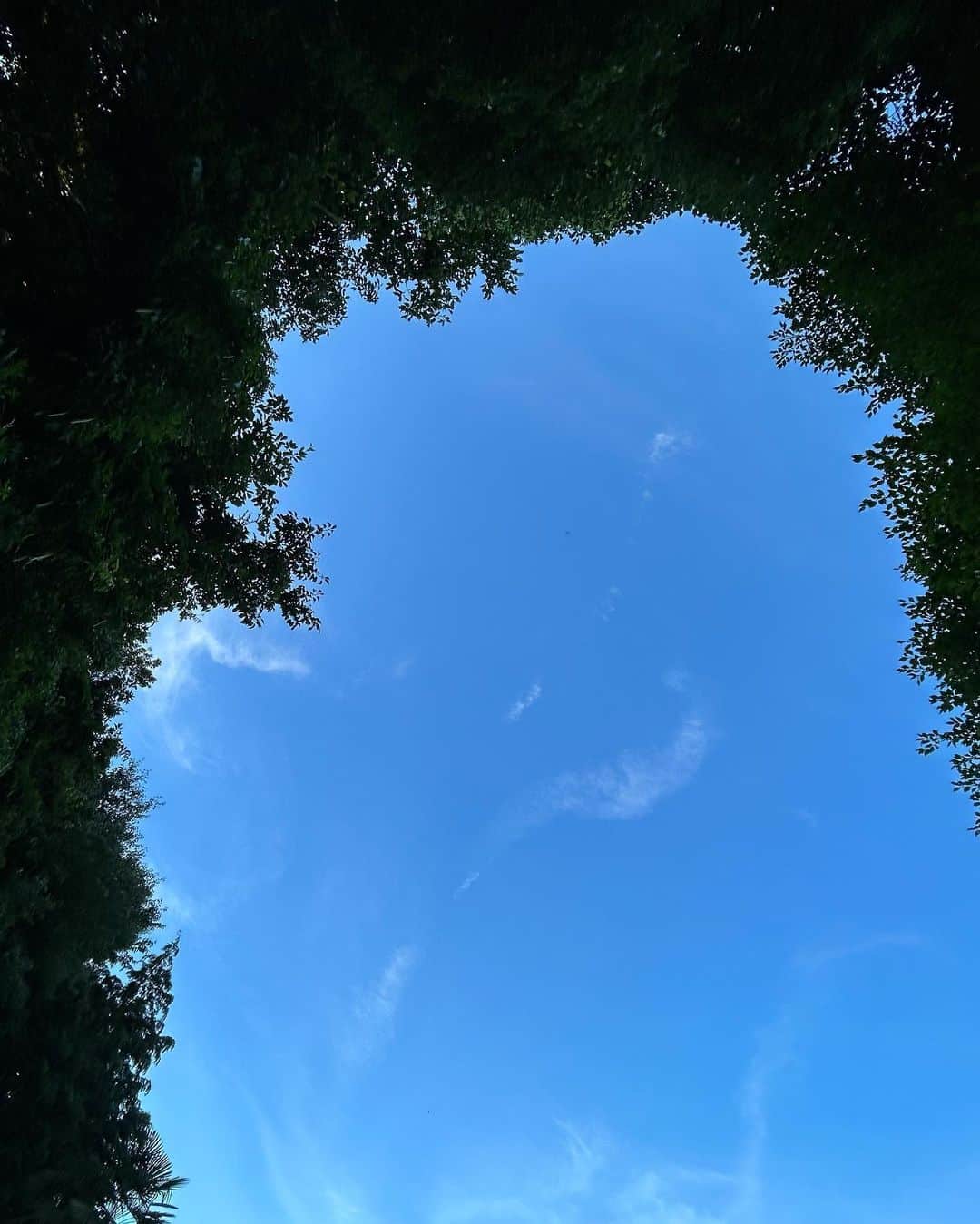 田村直美のインスタグラム：「三重県〜に来てます　いい空 昨日はグレースと久しぶりの"音ヨガ"＠GraceHearts みんな音楽やってるしドンドン歌ってくれて楽しかったなぁ　Motherの曲もできていい気持ち 今日はツアー中のプロイドと合流して@松阪M"AXAでライブ♪ その前に魚友さんの鰻〜💕」