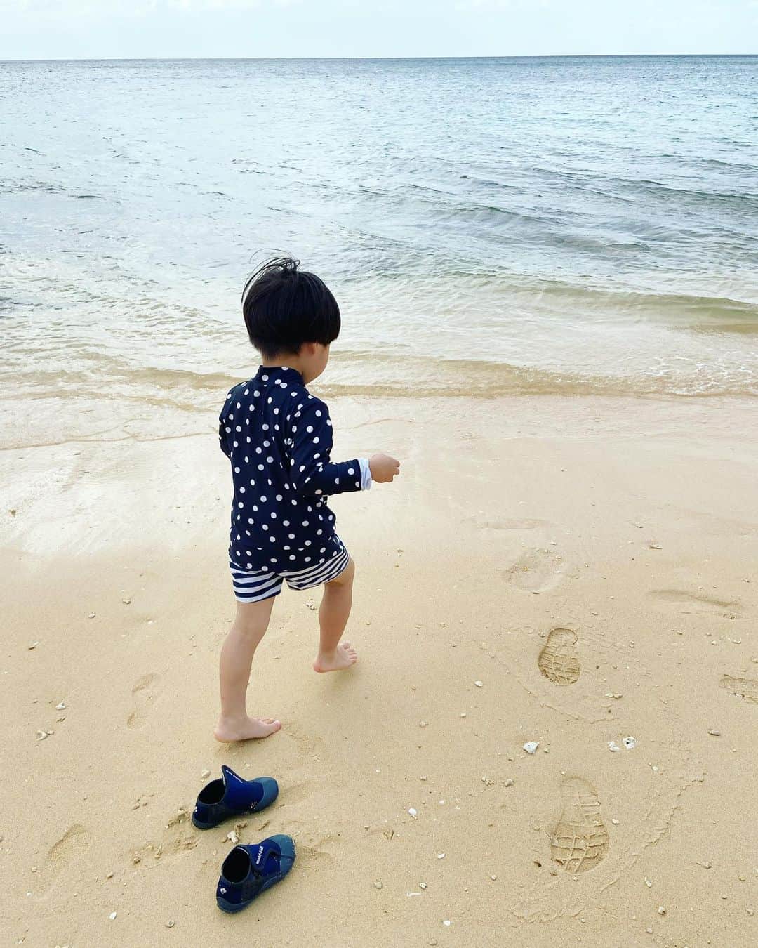 渡辺有子のインスタグラム：「夏休み、家族で石垣島に行ってきました。  土砂降りになったかとおもえば、すぐに太陽が顔をだす。 強風の海、波打ち際には小さな魚たちに無数のヤドカリ。 ヤエヤマヤシの群落やマングローブの森。山では野生の孔雀やクイナに遭遇。  自然に魅せられた旅でした。  とはいえ、息子はプールがかなり気に入り、ホテルのプールも朝夕たっぷり付き合いました☺️」