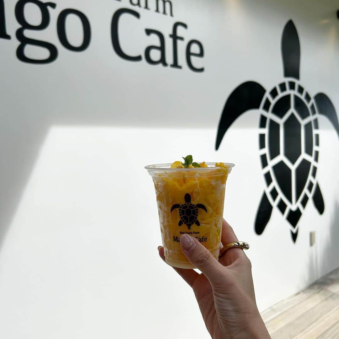 mai_1106のインスタグラム：「2023.7 . Mango Cafe . . .」