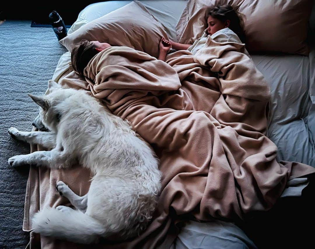 ダニエラ・ルーアのインスタグラム：「He thinks he’s one of them… and… he kinda is.  . Ele acha que é um deles… e… é um bocado… . #IceTheLargePuppy #Bodyguard #shepherd #kids #mornings #siblings #besties #family #summer #love」