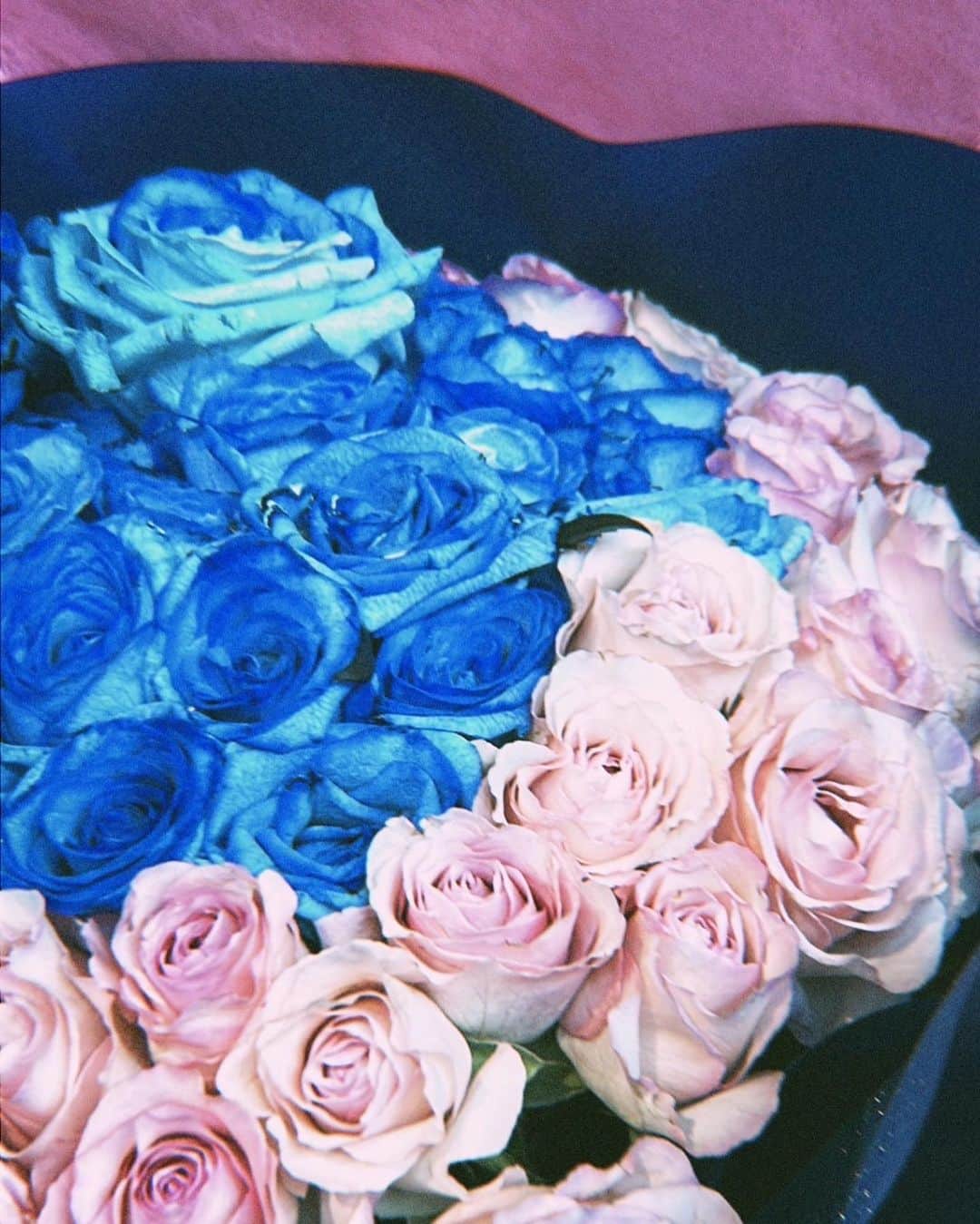 歌田初夏のインスタグラム：「青とピンク。  #ブーケ　#卒業　#卒業セレモニー　#青いバラ　#ピンクのバラ　#AKB48」