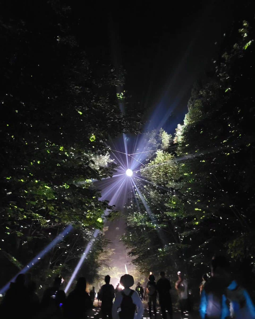 yakoのインスタグラム：「Long time no see @fujirock_jp 🌕💃」