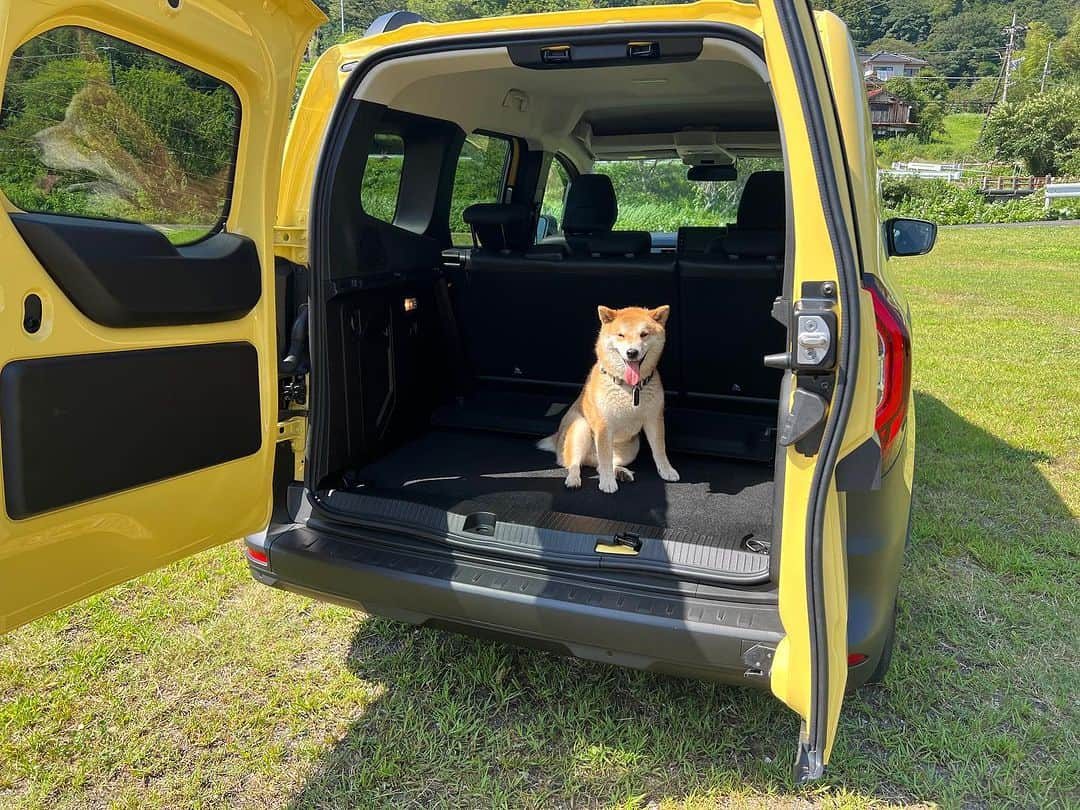 吉田由美さんのインスタグラム写真 - (吉田由美Instagram)「犬をも虜にする⁉️カングーのラゲッジルーム  https://www.instagram.com/p/CvJJ6rVP8GL/  #カングー映え活選手権 #ルノージャポン  #ルノー　#カングー　#映え活　#吉田由美ちゃんねる　#吉田由美　#yumiyoshida #renault  #renaultjapon @renault_japon  @yumi__yoshida  #hangereight  #monaca」7月30日 17時10分 - yumi__yoshida