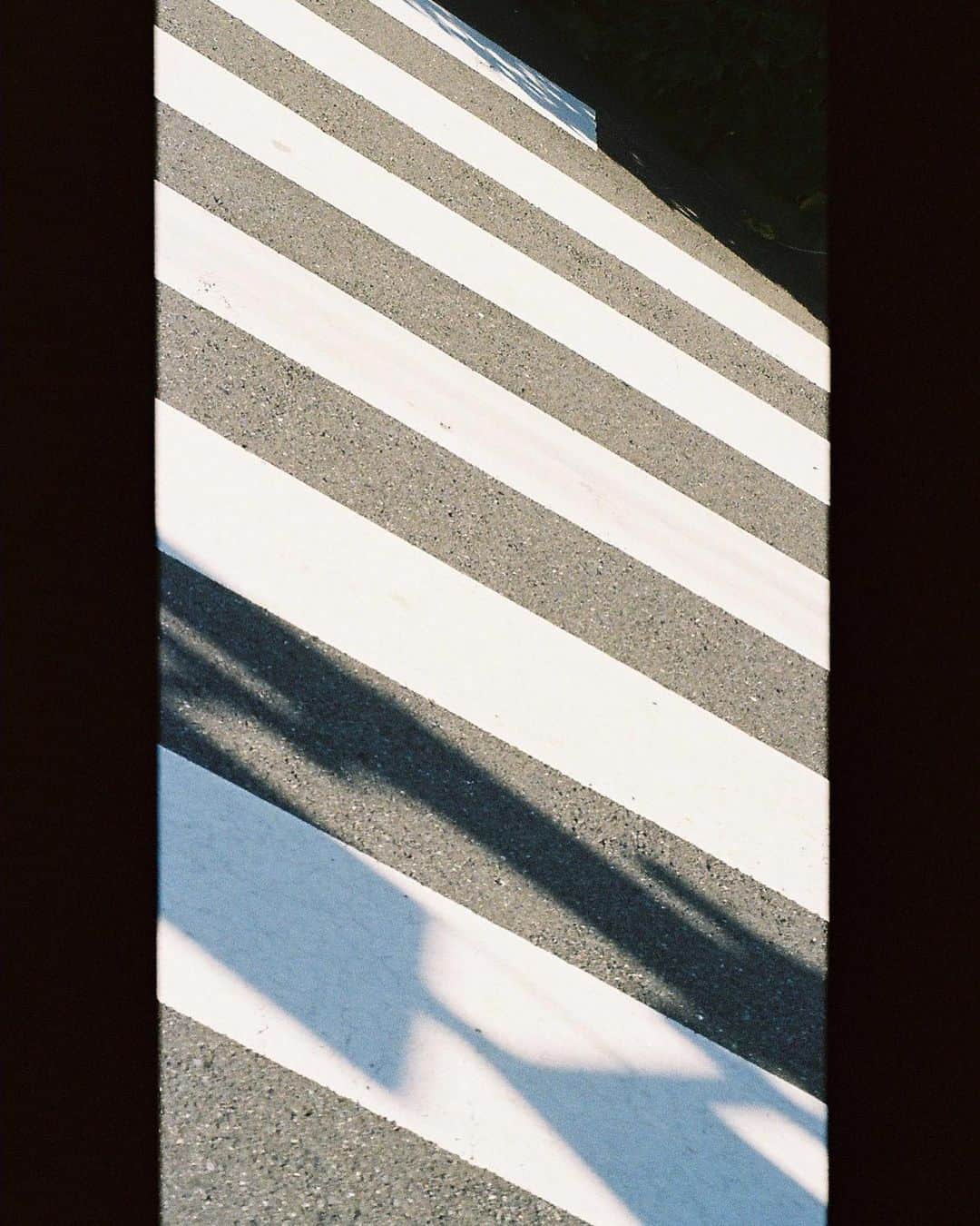 静華ジャズミンさんのインスタグラム写真 - (静華ジャズミンInstagram)「カメラは#olympusmju 、フィルムは #kodakportra400   これからロンドンに引っ越すから、 最近は無意識で東京にしかない風景を撮ってる気がする。 上向いた時に見える電線や道路の模様。 お散歩していた時に見かける路上のゴミとかも。 写真撮ってると、普段見てないところを築くようになるね」7月30日 17時16分 - shizukajasmin