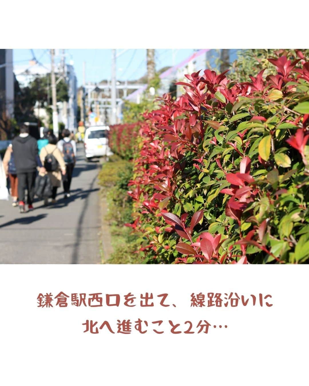 ココハウスさんのインスタグラム写真 - (ココハウスInstagram)「.  六弥太とTUZURUの間で【店舗・飲食店可】 鎌倉×賃貸  (2023年8月退去予定。写真は前回募集時のものとなります。)  まずはじめに、今回ご紹介する物件は飲食店可です！  鎌倉駅西口を出て右へ進み、すぐにクィっと脇道を入っていきます。 ここから線路沿いに続く約170ｍの道。 静けさと賑やかさが同居した裏小路。  鎌倉市の重要建築物の指定を受けている“ホテルニューカマクラ”。大正時代に建てられたレトロな洋館。  ニューカマクラを過ぎるとすぐに現れるのが人気の文房具のセレクトショップ「TUZURU」。  扇ガ谷から鎌倉駅近に移転してきました。  そしてTUZURUを過ぎると今回募集するこちらの物件。鎌倉駅徒歩２分です。  “ヒラソル鎌倉” ちなみに、「ヒラソル」とはスペイン語で「ひまわり」を意味します。  店先も使えますので、テラス席などイメージが湧きますね。ヒラソルでパラソル！  RC造の１階、44.65㎡。  写真撮影時は資材等が置かれていましたが、これらはもちろんキレイに片付きます。  すぐ近くには行列が絶えない豆富ハンバーグの「六弥太」。  「六弥太」と「TUZURU​」という人気店の間で。 飲食店可、もちろん飲食店以外もウェルカムです。 駅近・路面店の利を活かして下さい！  物件情報 ↓ https://www.coco-h.com/rent/detail.php?2753  株式会社ココハウス・鎌倉本店 〒248-0012 鎌倉市御成町11-7 Tel 0467-38-8130 営業時間：10：00～18：00 火・水曜定休  HP www.coco-h.com  #ココハウス #鎌倉不動産 #鎌倉賃貸物件情報 #賃貸店舗 #鎌倉市御成町 #移住 #湘南移住 #鎌倉移住 #店舗探し #不動産 #物件 #物件情報 #インスタ家探し」7月30日 17時52分 - cocohouse.kamakura