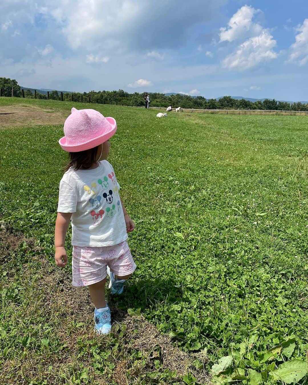 佐藤のぞみのインスタグラム：「牛乳を飲みに蔵王へ🐮🥛✨  夏の蔵王は暑かった☀️ 滞在時間1時間もいないで帰宅🤣  #蔵王ハートランド #母の方が昼寝が長い #夜寝るのも朝起きるのも同じ時間 #え😅 #私が寝過ぎなのか我が子が元気すぎるのか #通りで毎日が一瞬で終わるのだ」