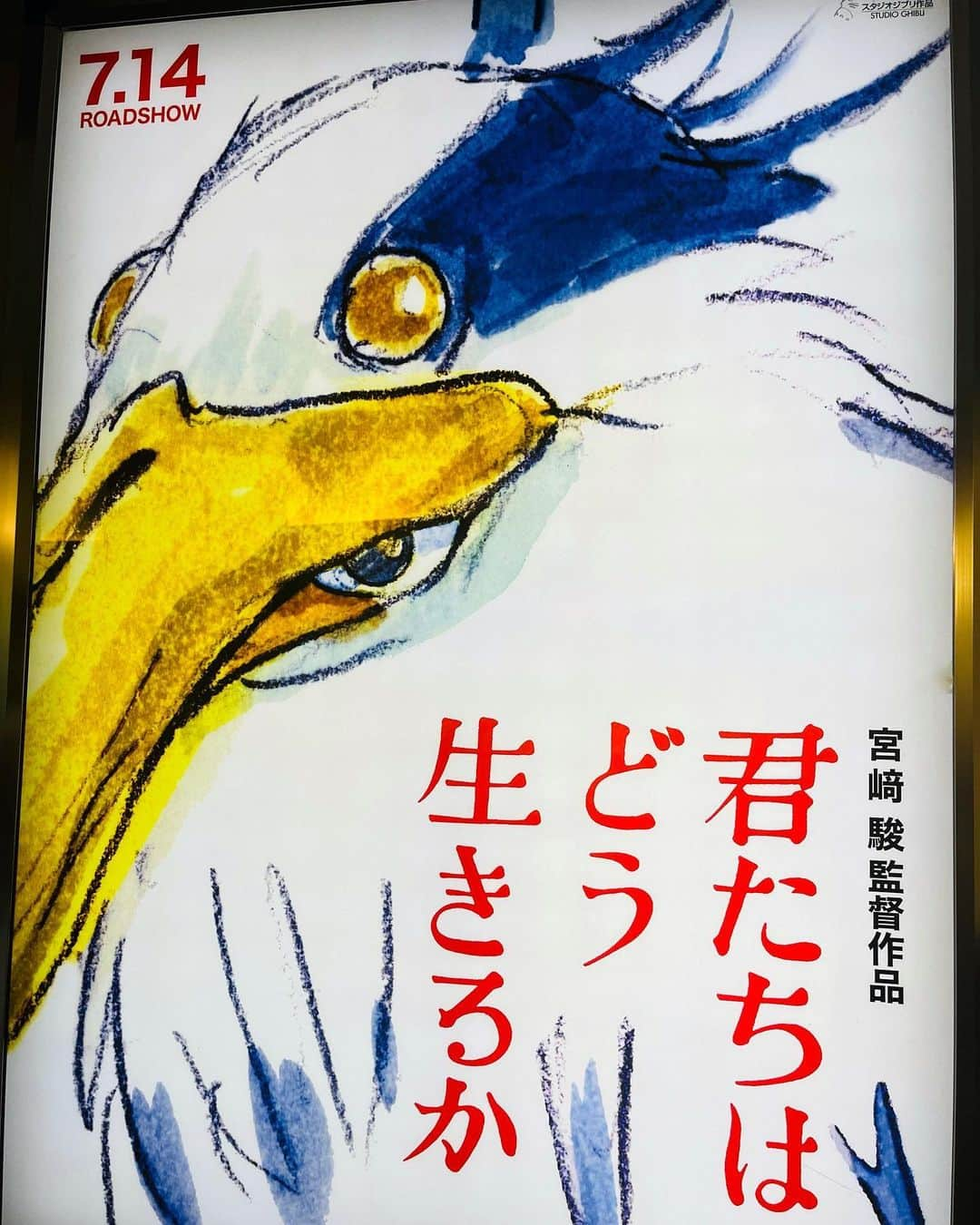 蒼山幸子さんのインスタグラム写真 - (蒼山幸子Instagram)「そうこうしているうちに 明日で7月が終わってしまうとは！ という感じなのですが、日々は続く。 それなりに夏っぽい日もあった。 素敵なジェラート食べて 暑さでスプーンのように折れ曲がってる影を目撃したり。 神たちに励まされながら新曲作ったり。 やっぱり問答無用で 宮崎駿の狂気の世界、好きだな〜と思ったり。 そんなことしつつ諸々画策中ですので、 8月もがんばります。🏊」7月30日 19時23分 - sachiko_aoyama