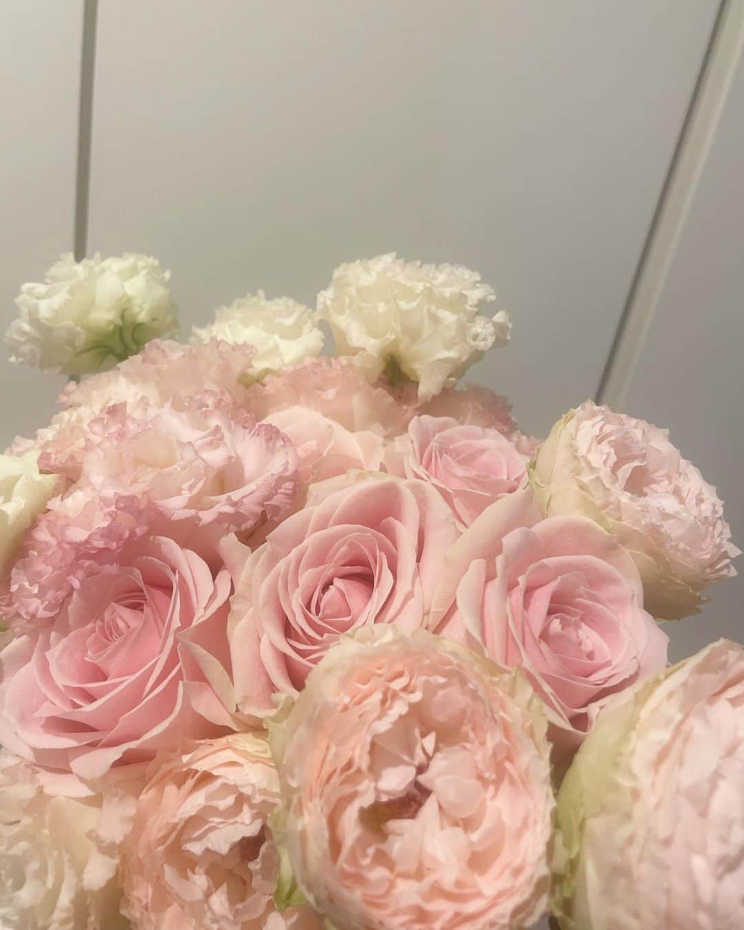 藤園麗のインスタグラム