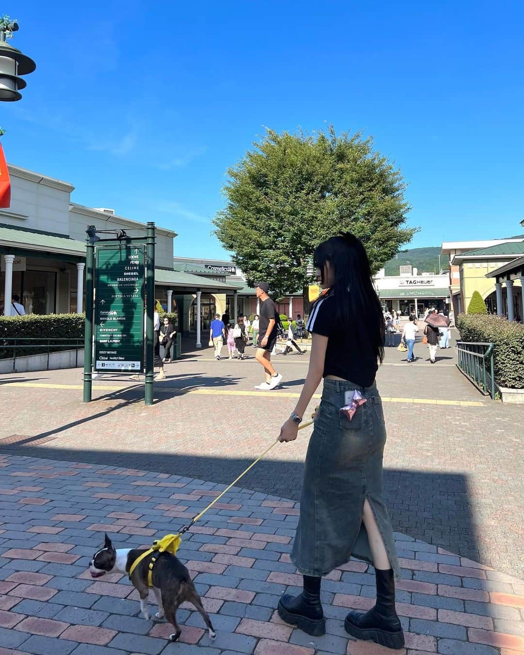 仲本莉絵瑠のインスタグラム：「🎵💕💕 犬って何考えてるのかわからん」