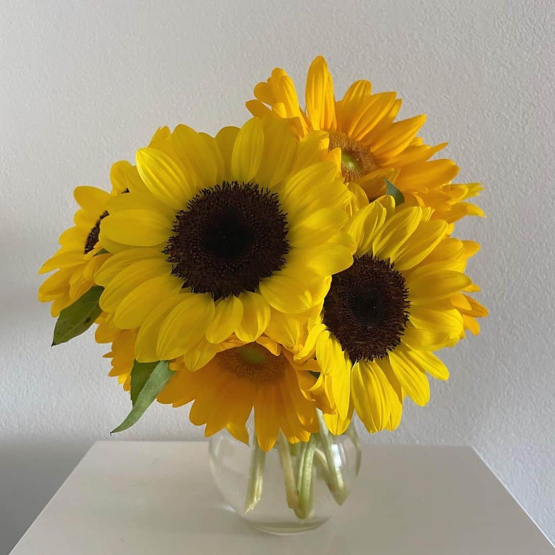 尾花貴絵のインスタグラム：「🌻 . パワーもらえる私の大好きなお花💘 (誕生日に頂いた花束をアレンジして……)  太陽のような明るい色合いに元気をもらえる!!!!  お部屋が一気に夏らしくなりました😄☀ . みんなは何のお花が好きー？ . . #sunflower #flower #flowerlover #arrangement #summervibes」