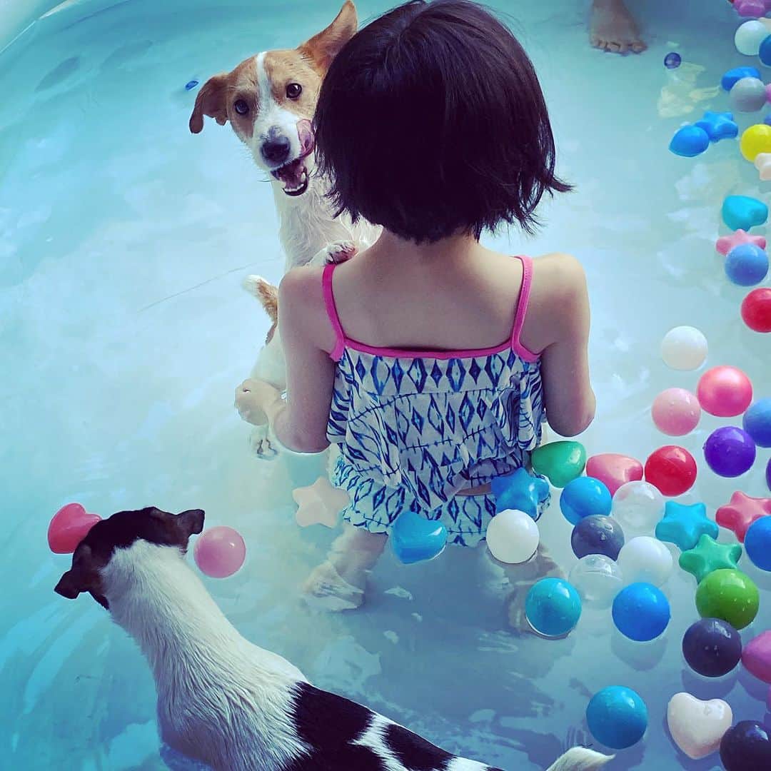 森本千絵さんのインスタグラム写真 - (森本千絵Instagram)「おうちで水泳教室」7月30日 20時27分 - chiemorimoto_goen