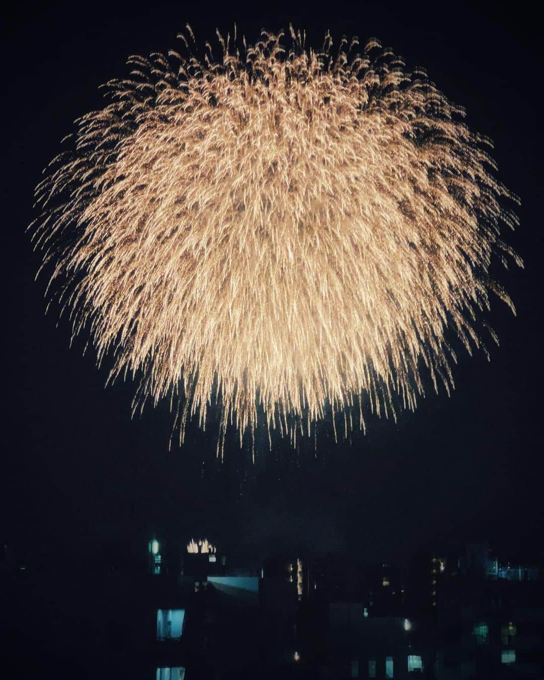 ima_ju / Jun Iのインスタグラム：「: : Firework on Very Hot Sunny Day : : ようやく次々とコロナ禍明けの花火大会が開催。気温の上昇に比例して人の群衆密度上昇率もゴイスー。超猛暑の中、6時間以上も前からの席取りやら、路面上の席取りでのフライングやら、エネルギッシュな人間模様が錯綜していましたね。長岡なんてどうなっちゃうんだろう🙌💦 連発ものの中でも、やっぱりシダレの時間帯は最高の花火=花美ショーだな〜...ですよね？ : : ::」