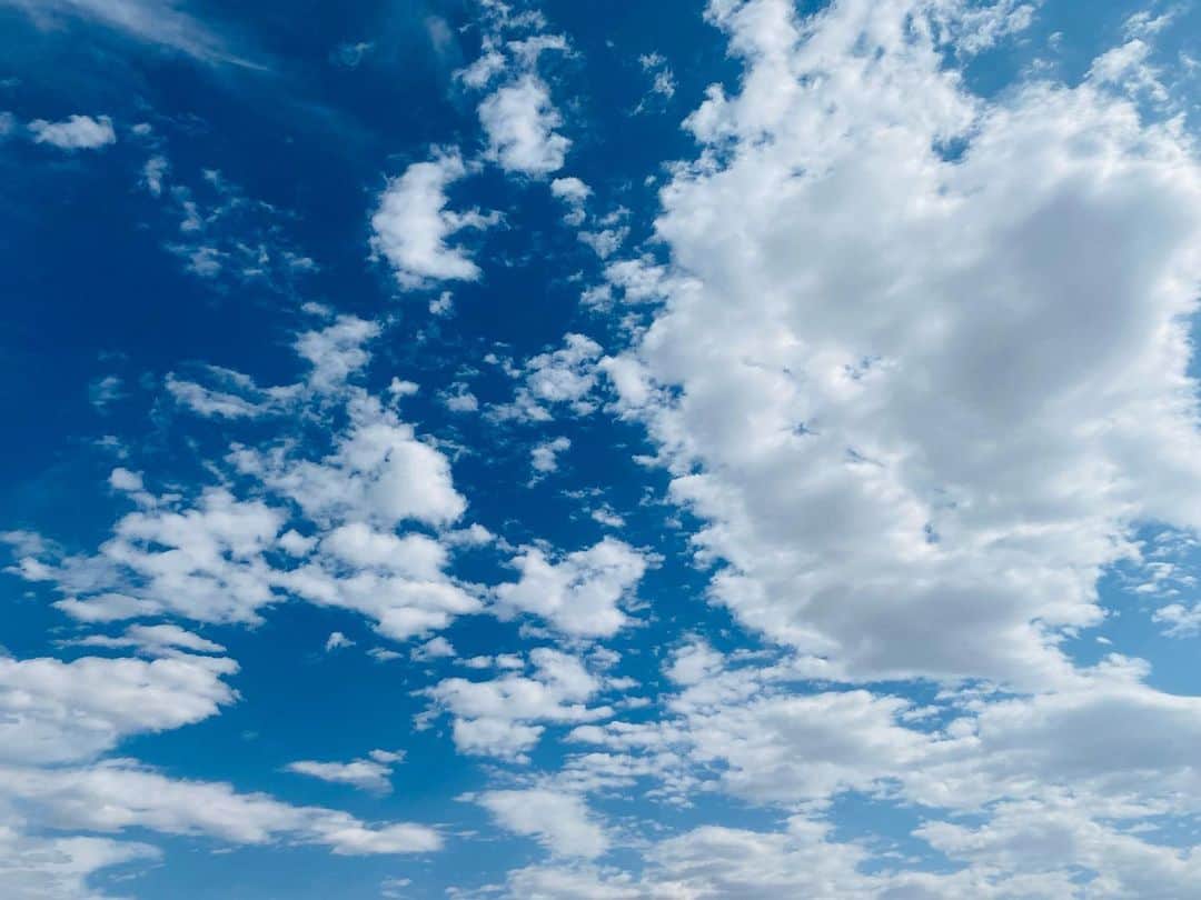竜星涼さんのインスタグラム写真 - (竜星涼Instagram)「#雲が龍にみえる 🐉 #龍神様」7月30日 21時08分 - ryo_ryusei