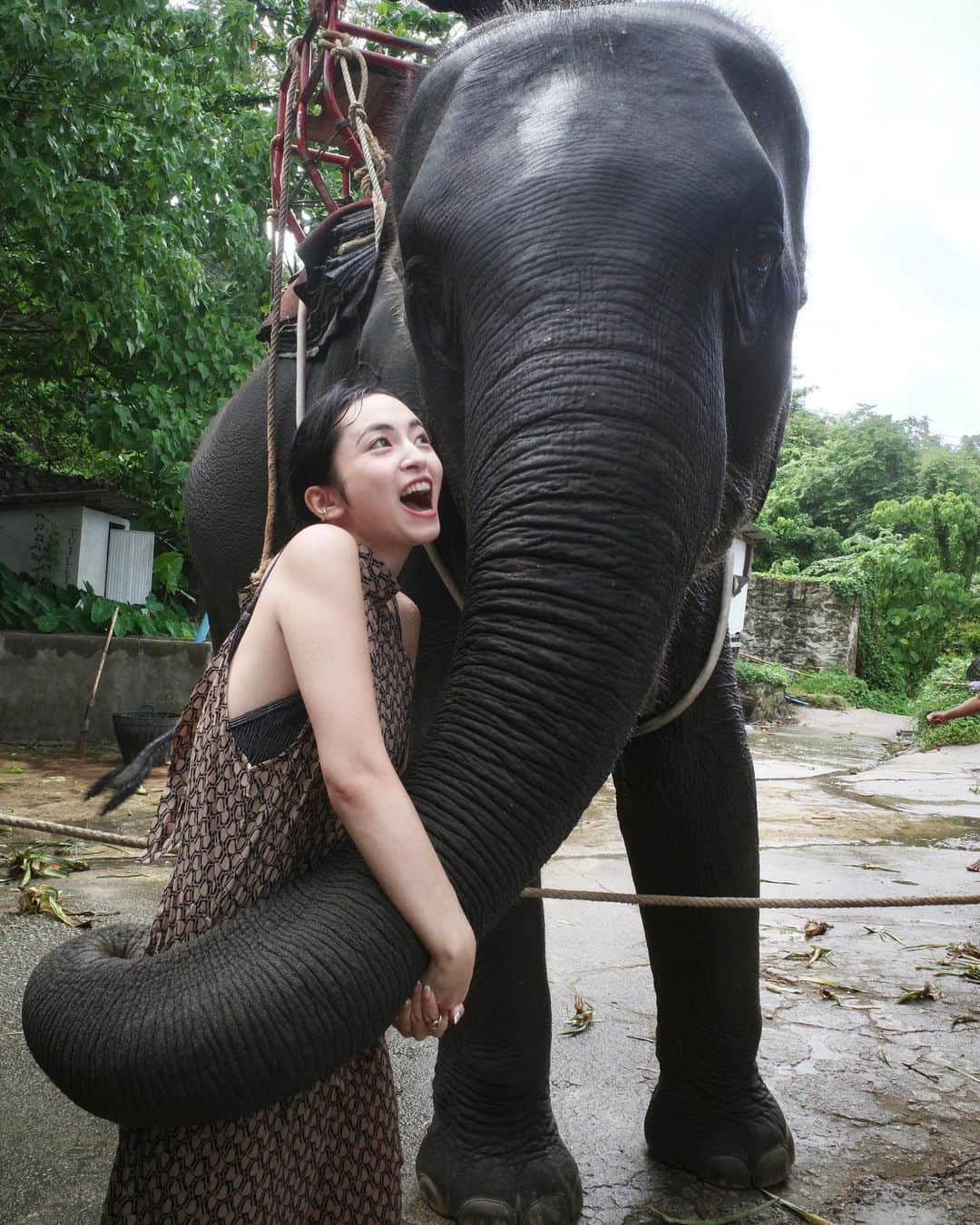 新郷桃子さんのインスタグラム写真 - (新郷桃子Instagram)「××× . 念願の象さんとの触れ合い🐘♡ 象さんトレッキングをしてきたよ！ 賢くて優しくて穏やかで可愛いゾウさんに終始感動。😭😢❤️ 鼻の上に乗せてくれたり、頭にも乗せてくれてご褒美にさとうきび渡したら喜びの舞も見せてくれた🐘❤️ トレッキングの後は、ショータイムへ。 超豪華ショーはタイおよび海外の専門家により企画・創造されているらしく、9種類のテーマ ( タイ文化、マジックイリュージョン、四次元効果、空中バレー、象の曲芸、室内花火、アクロバット、SFX、スタント)を取り入れた壮大な構成となってました！ 総勢150名の出演者と30頭の象を使った壮大なこのショーは、感動の嵐。 しっかりと目と心に焼き付けてきたよ！  カマラビーチにある25万坪の広大な敷地にあるテーマパークで ブュッフェもついていて楽しかったな😫🧚 #象使いのお兄さんしっかりカメラ目線 #プーケット#Phuket#象ツアー#象」7月30日 21時23分 - rinnnnn01